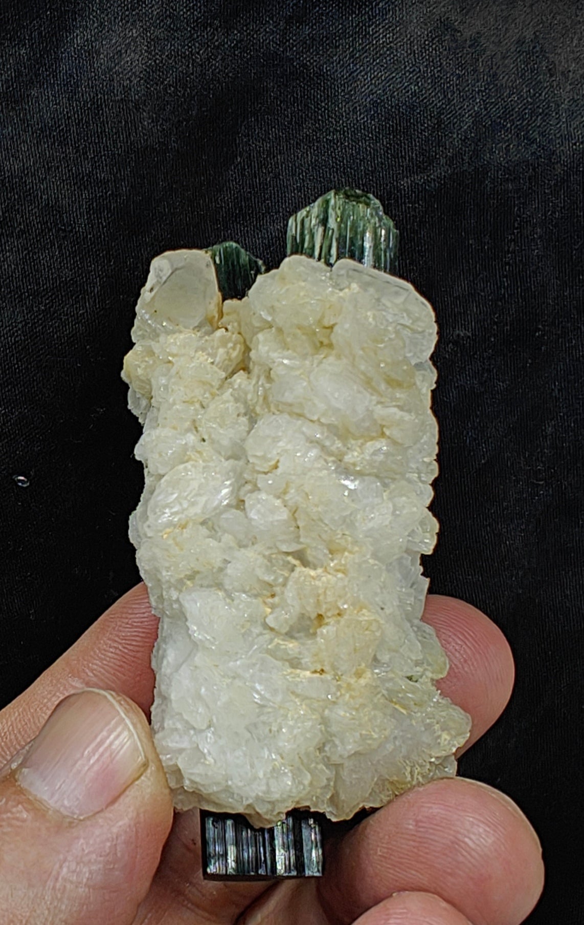Perfectly terminated specimen of green cap Tourmalines crystals with associated albite 94 grams