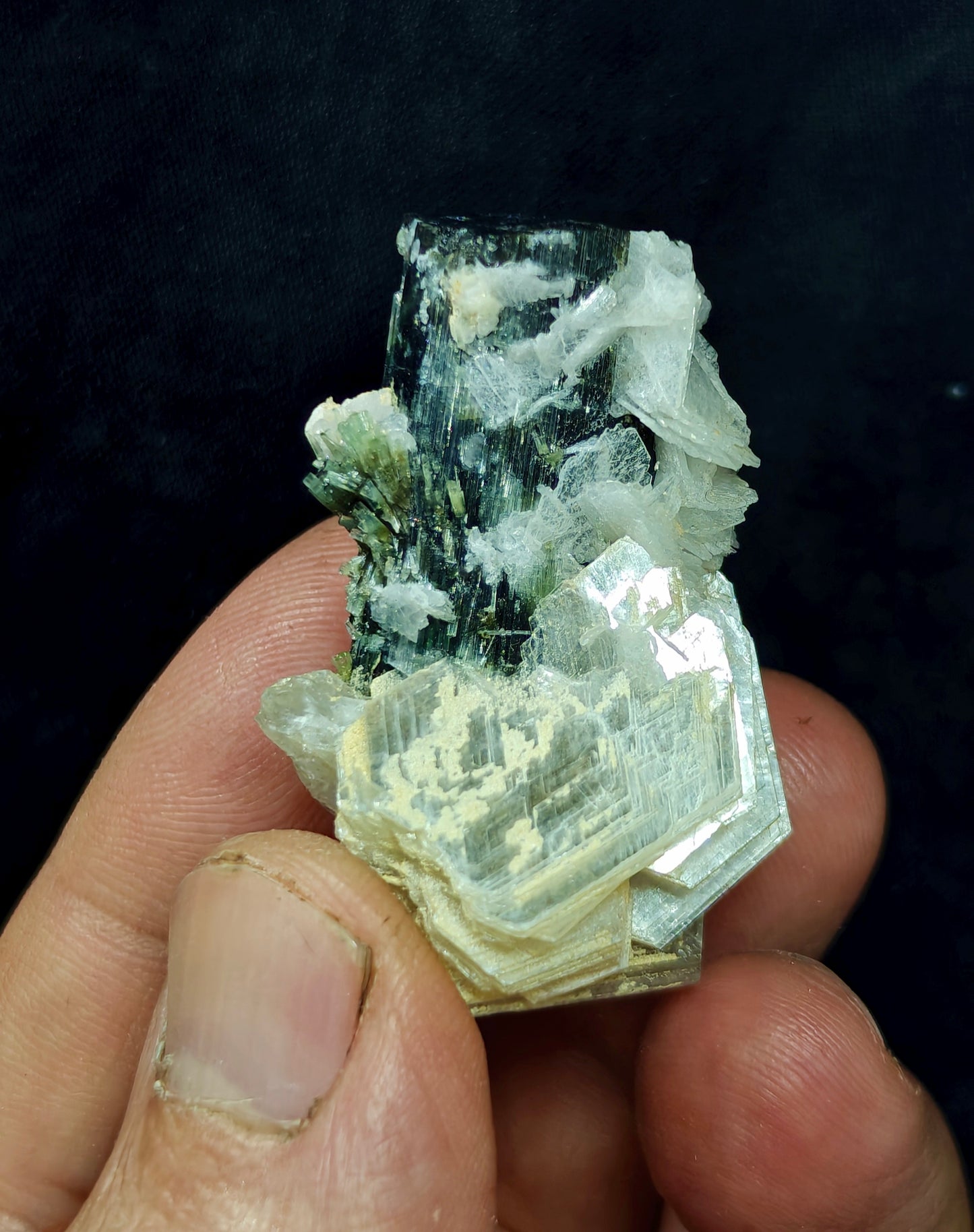 Natural dark green color Tourmaline crystal with associated cleavelandite, muscovite and a small quartz 24grams