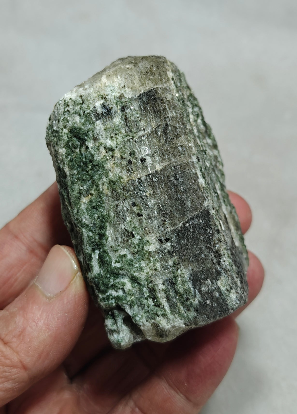 Scapolite crystal with associated epidote 253 grams