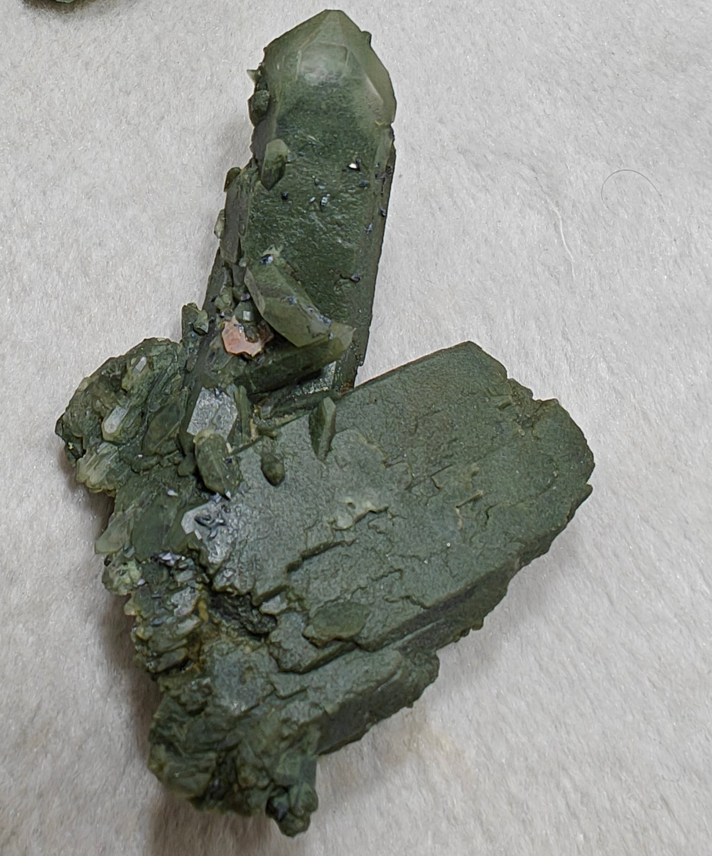 Small anatase crystals on Chlorite Quartz with small brookite 63 grams