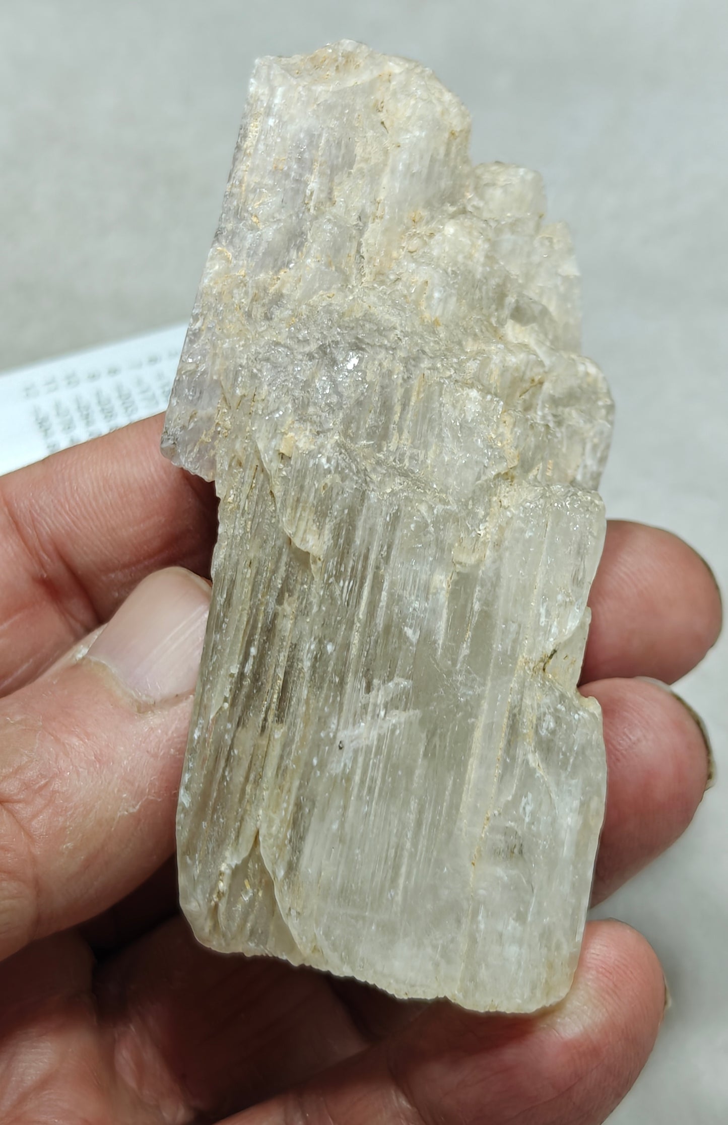 An amazing specimen of Bicolor terminated spodumene crystal 157 grams