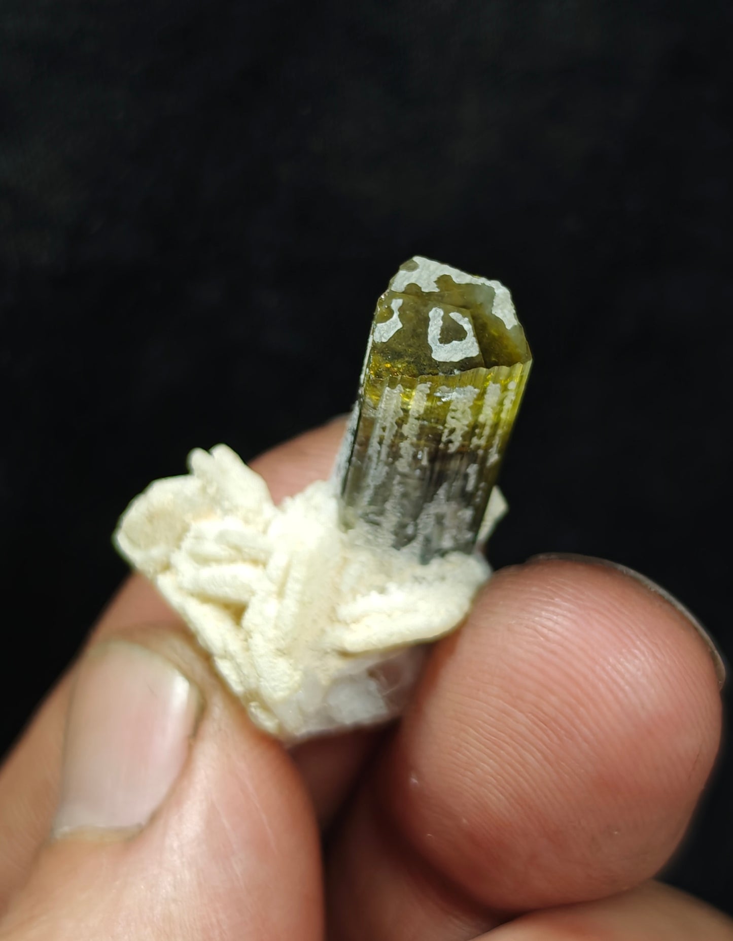 Natural multicolor Tourmaline crystal and associated cleavlandite and a bit of quartz 8 grams