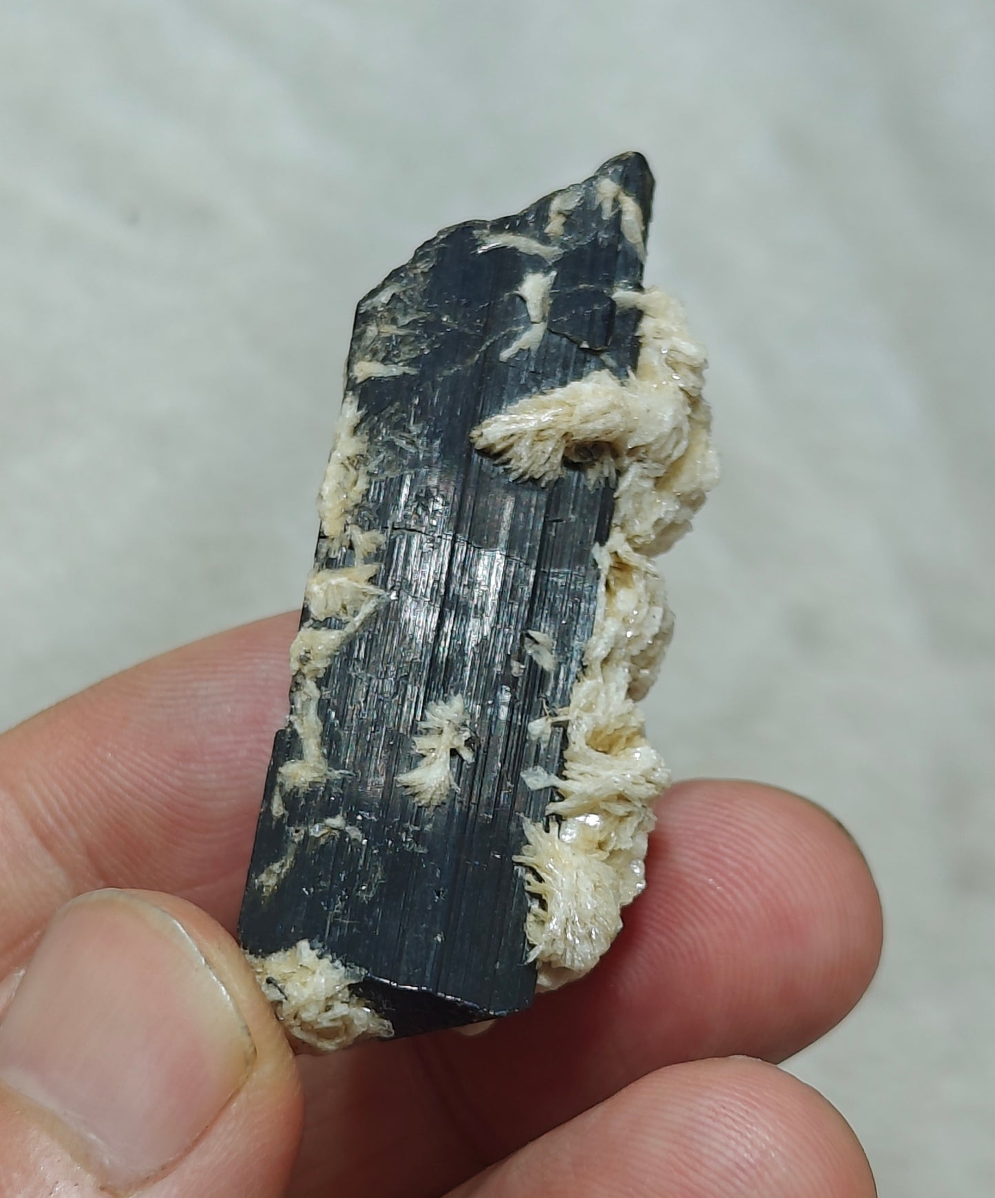 Natural Tourmaline crystal with associated Albite 30 grams