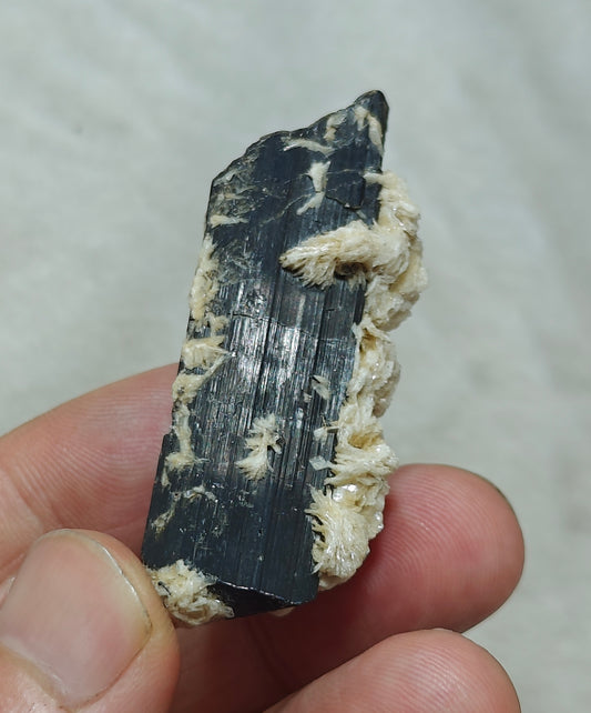 Natural Tourmaline crystal with associated Albite 30 grams