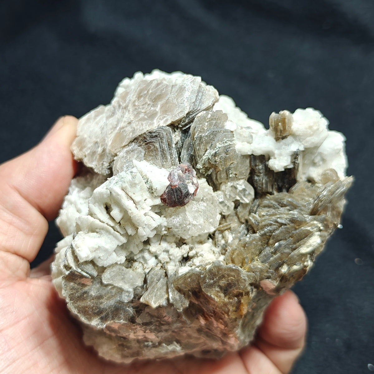 Natural spessartine garnet embedded in muscovite, with albite and quartz 544 grams