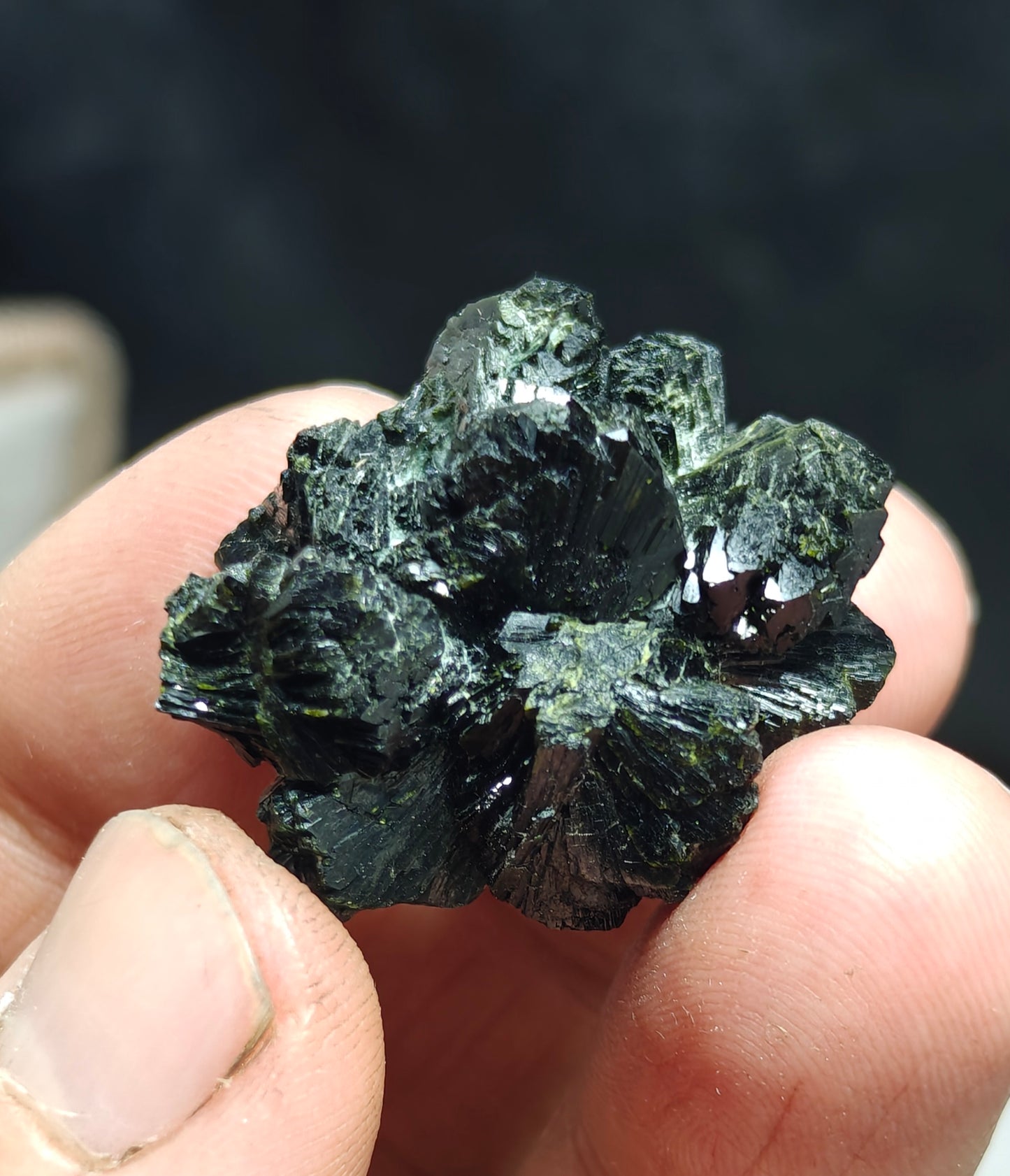 Bowtie Epidote spray cluster 23 grams