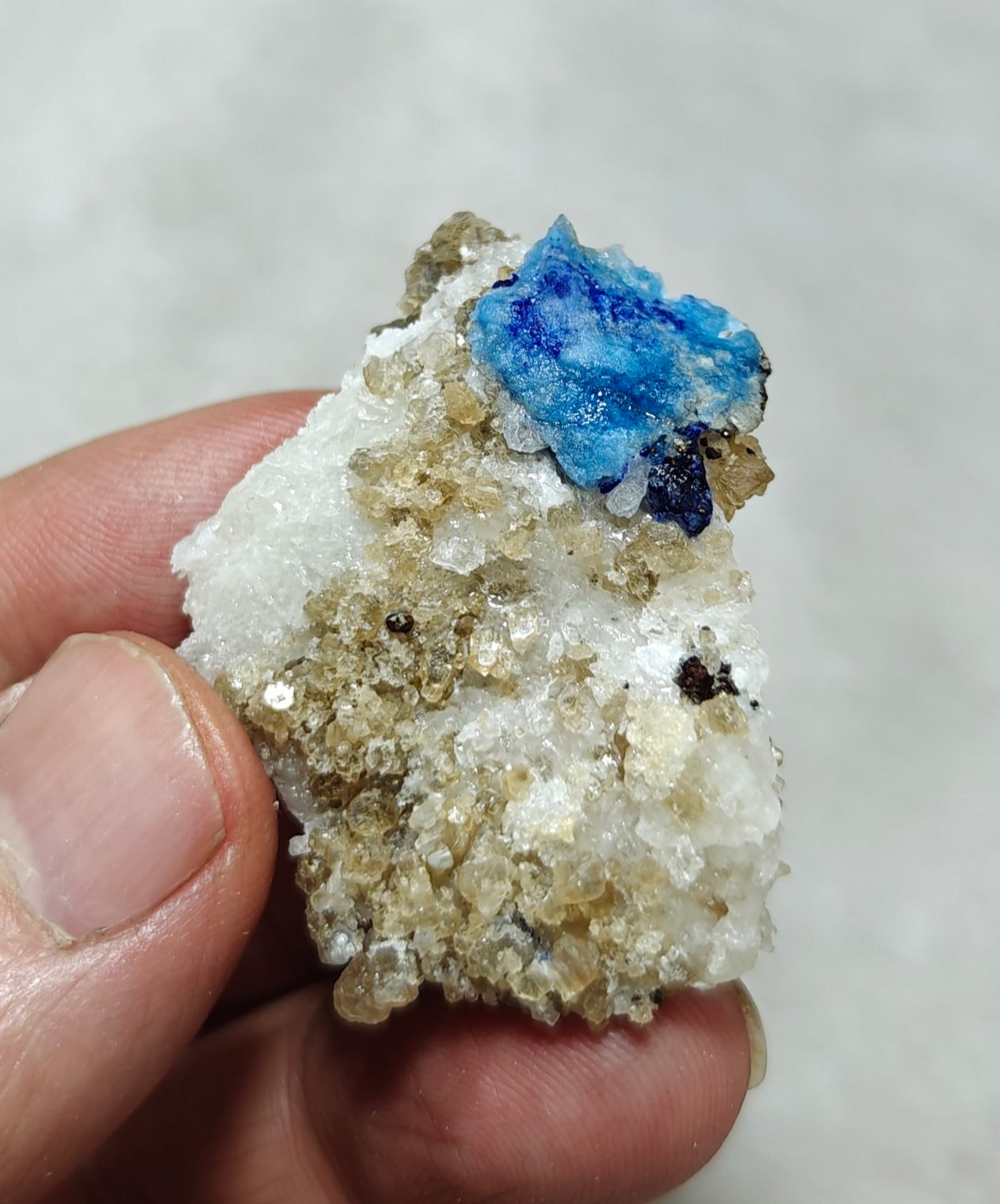 Afghanite Fluorescent in matrix with some pyrite and phlogopite 25 grams