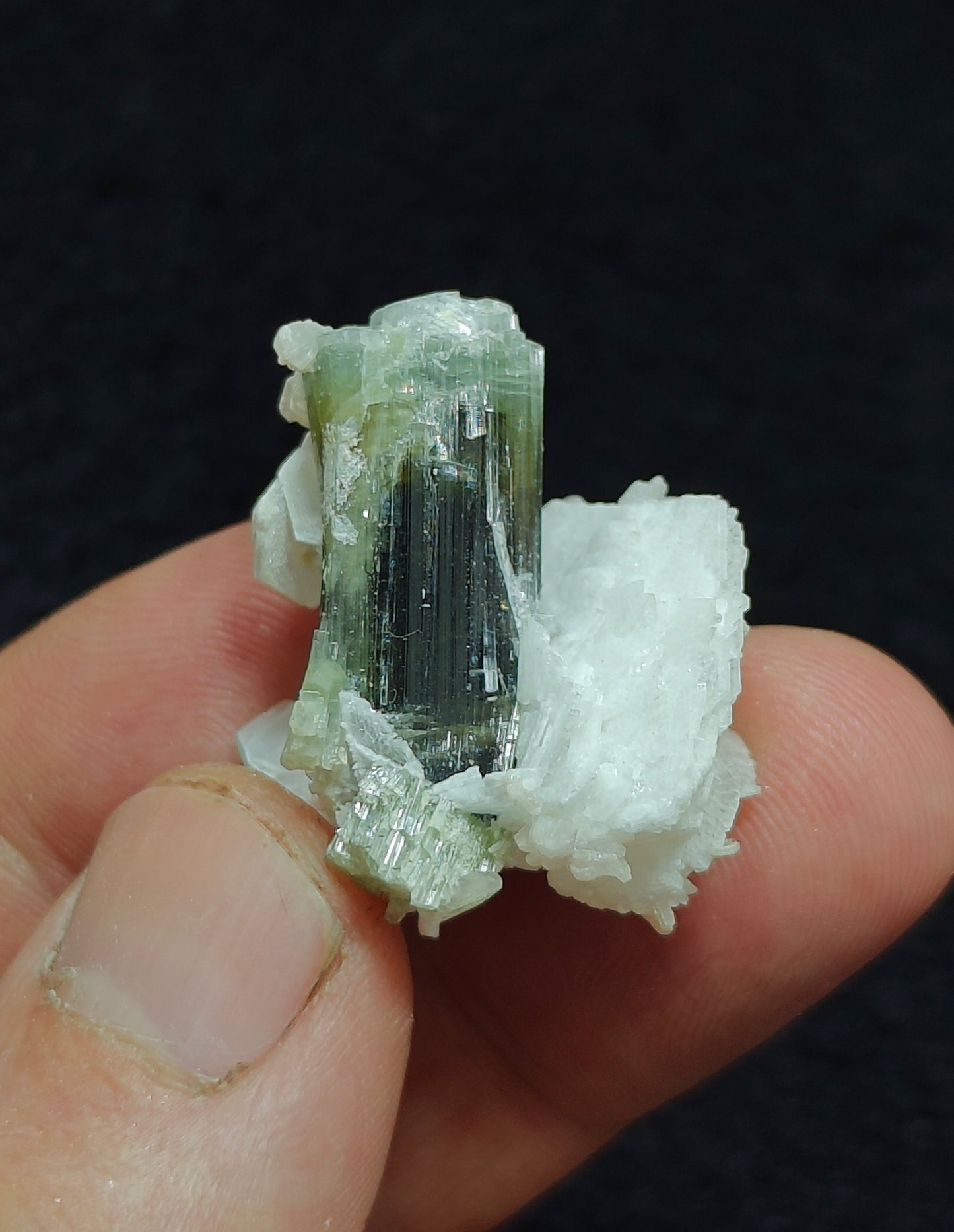 Natural dark green Tourmaline crystal and associated cleavlandite 10 grams
