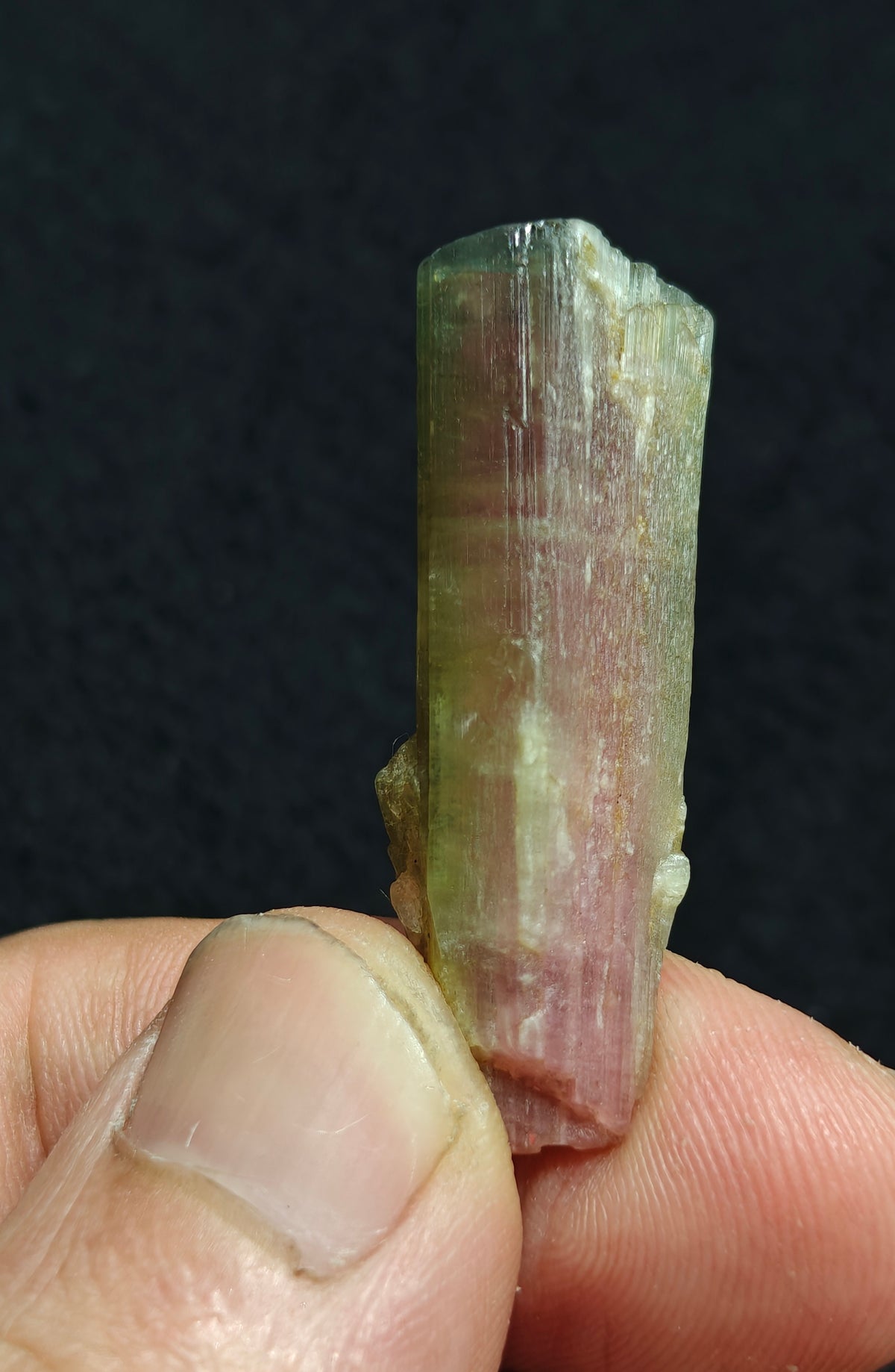 Natural watermelon Tourmaline crystal 45 carats
