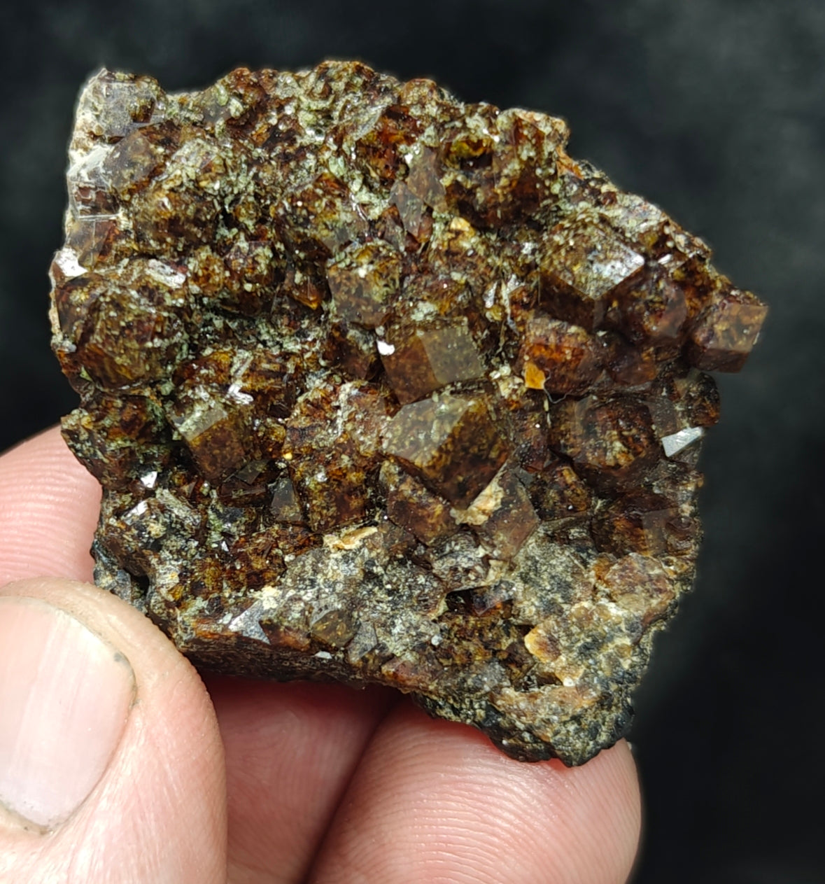 Single beautiful Garnet variety andradite clusters specimen 46 grams