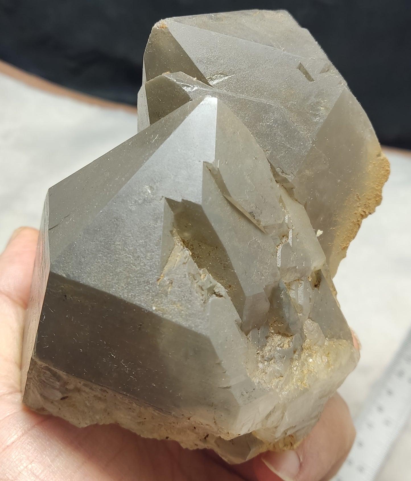 Natural Smoky Quartz Twin formations Cabinet Size  1170 grams