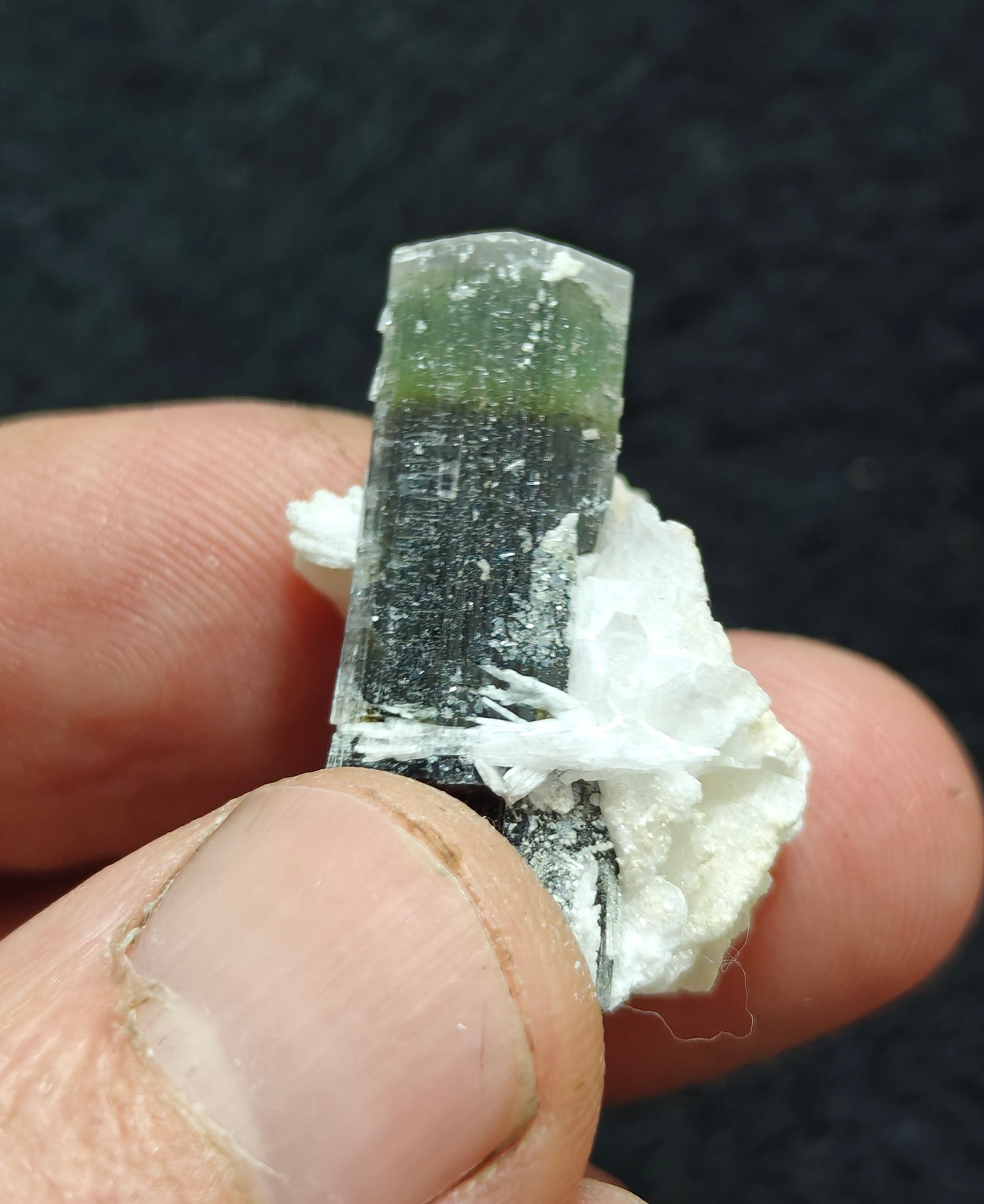 Natural multicolor Tourmaline crystal 7 grams