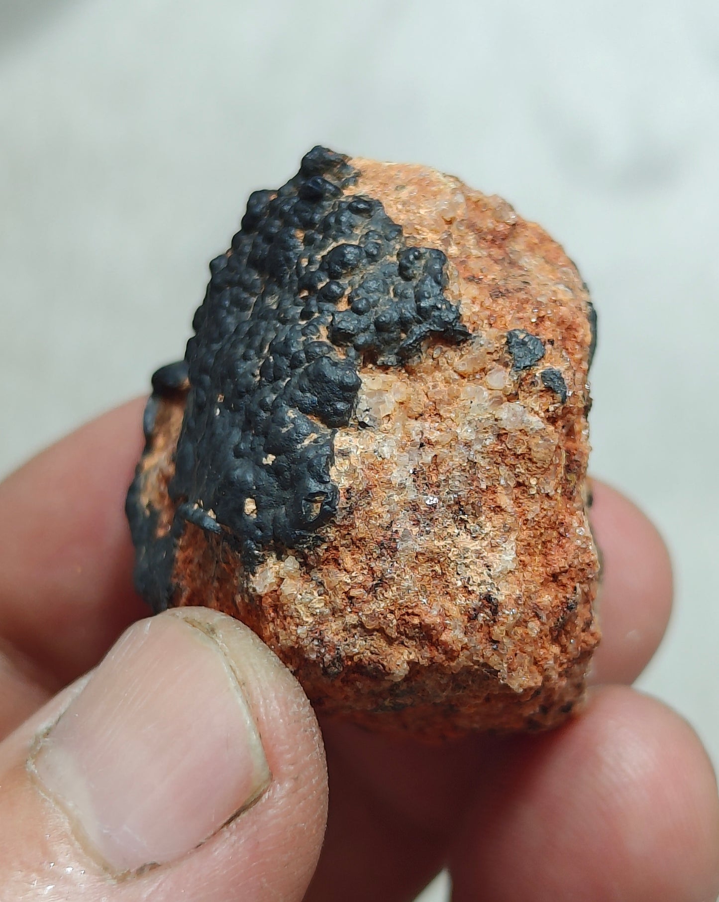 Hollandite on matrix 38g