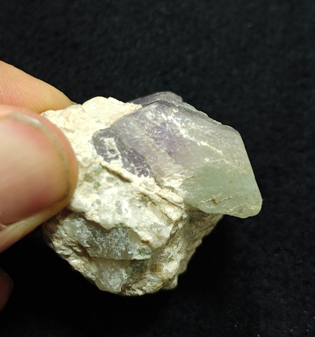 An amazing specimen of bicolor Kunzite on matrix of Albite 53 grams