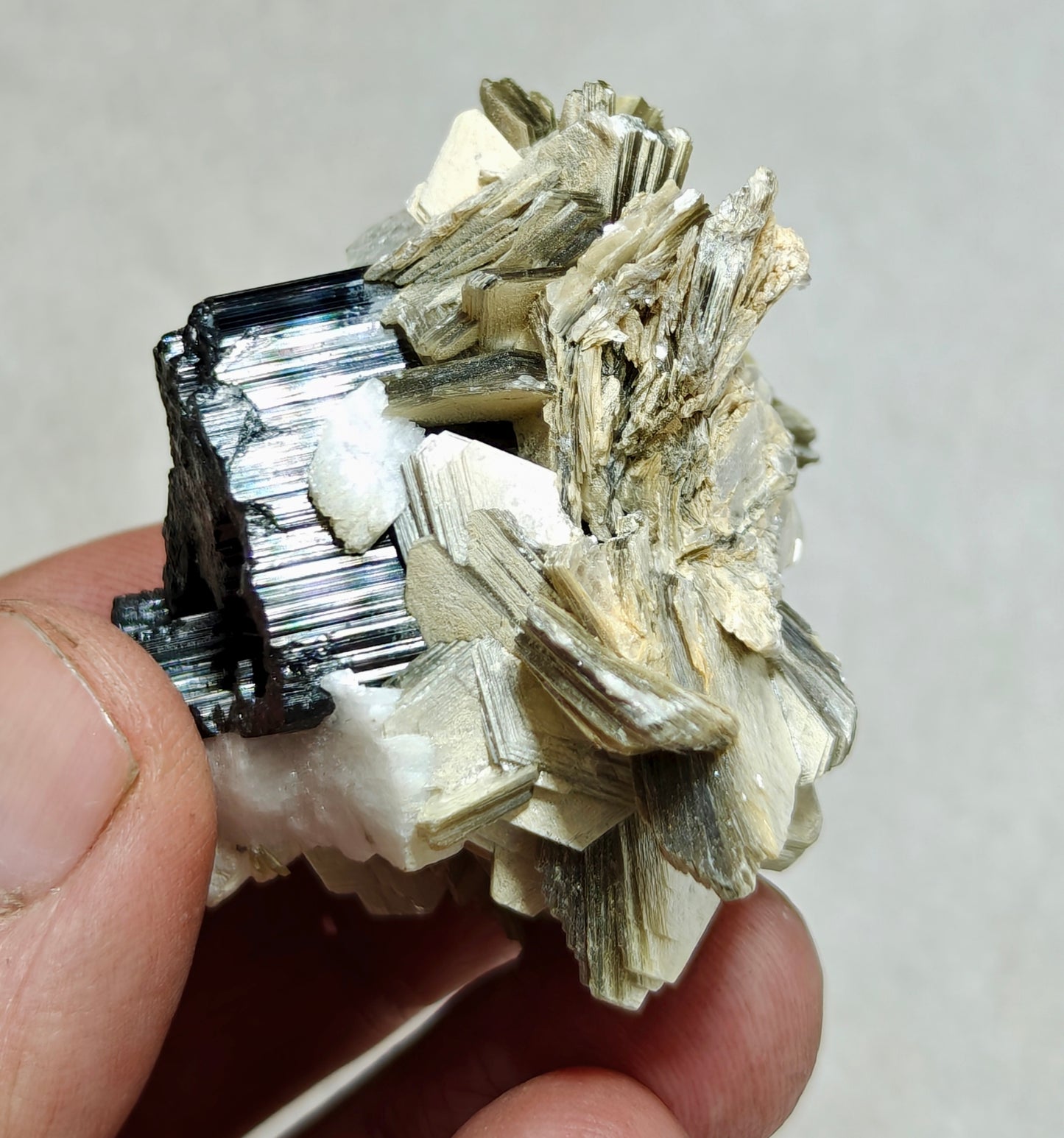 An Aesthetic Natural specimen of combination of Albite, Schorl, and Muscovite 54 grams