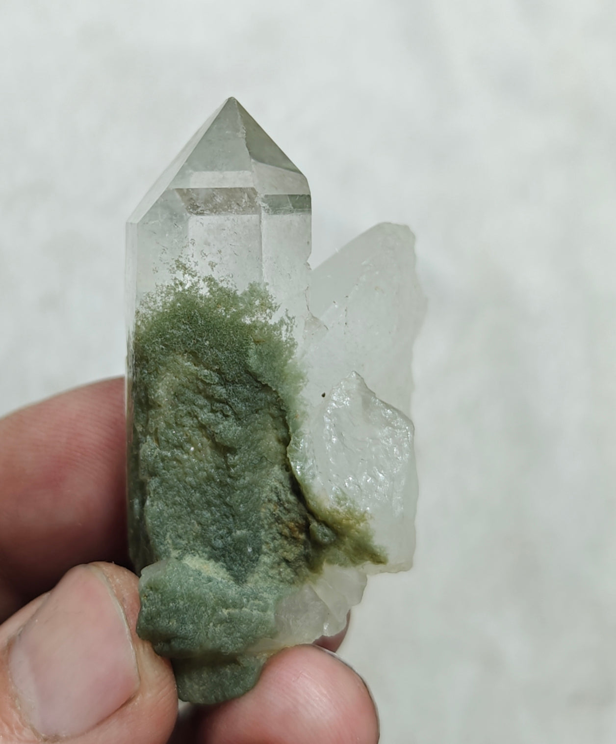 Terminated Chlorite Quartz 43 grams