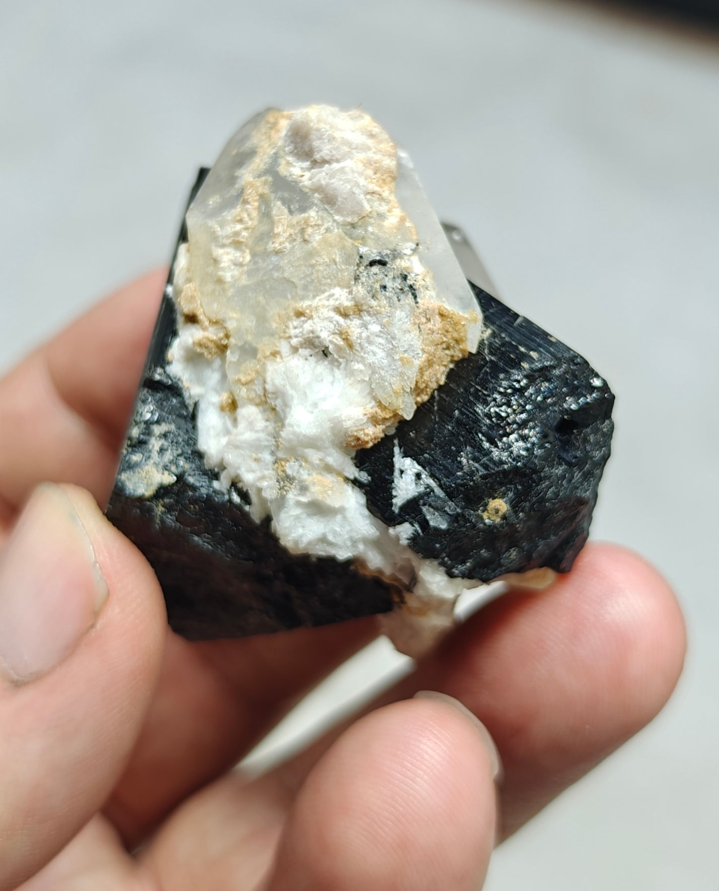 An Aesthetic Natural black Tourmaline crystal with terminated quartz crystals 85 grams