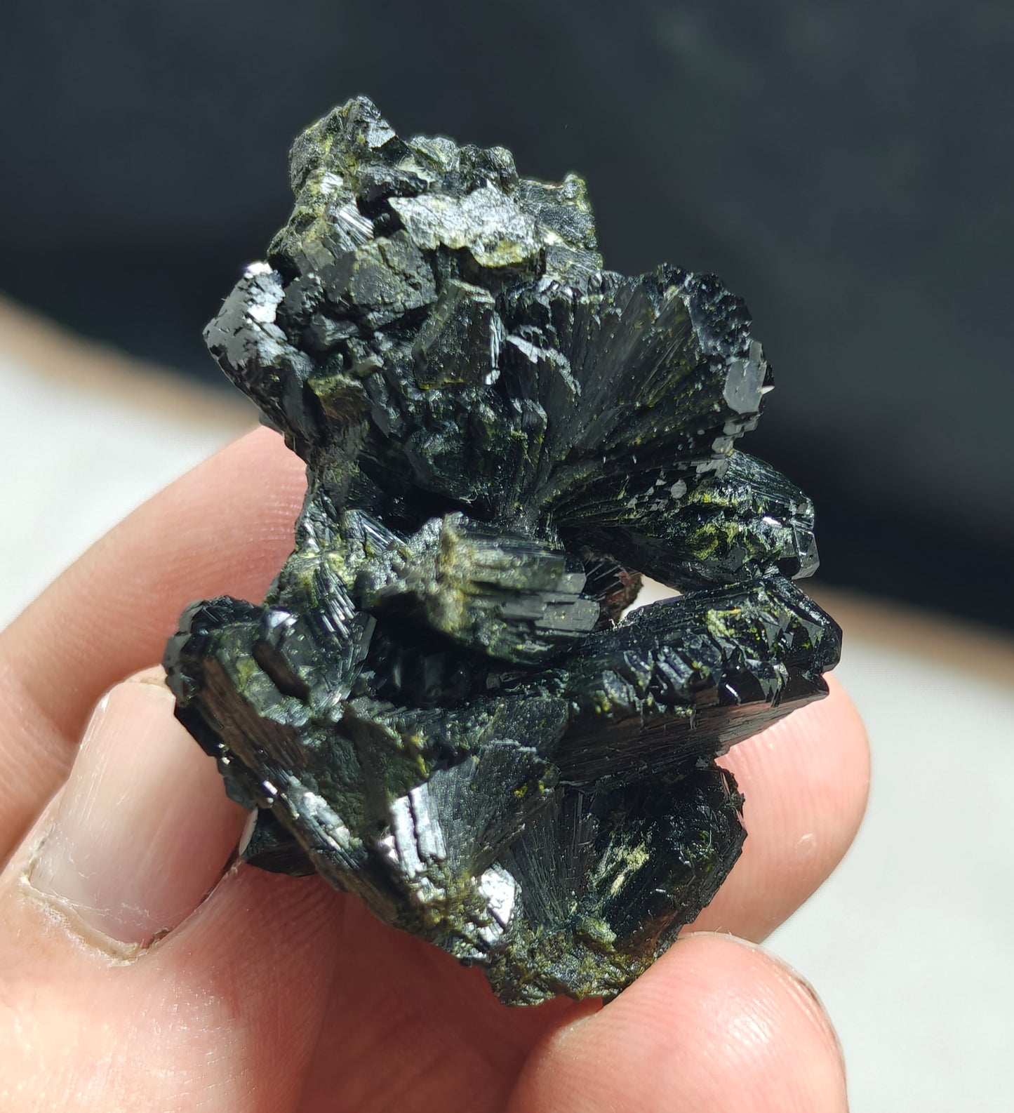 Bowtie Epidote 42 grams
