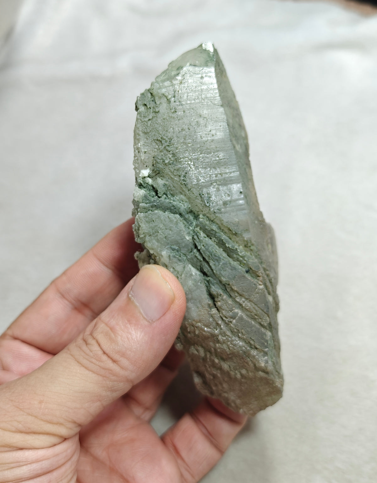 Natural Chlorite Quartz crystal 257 grams