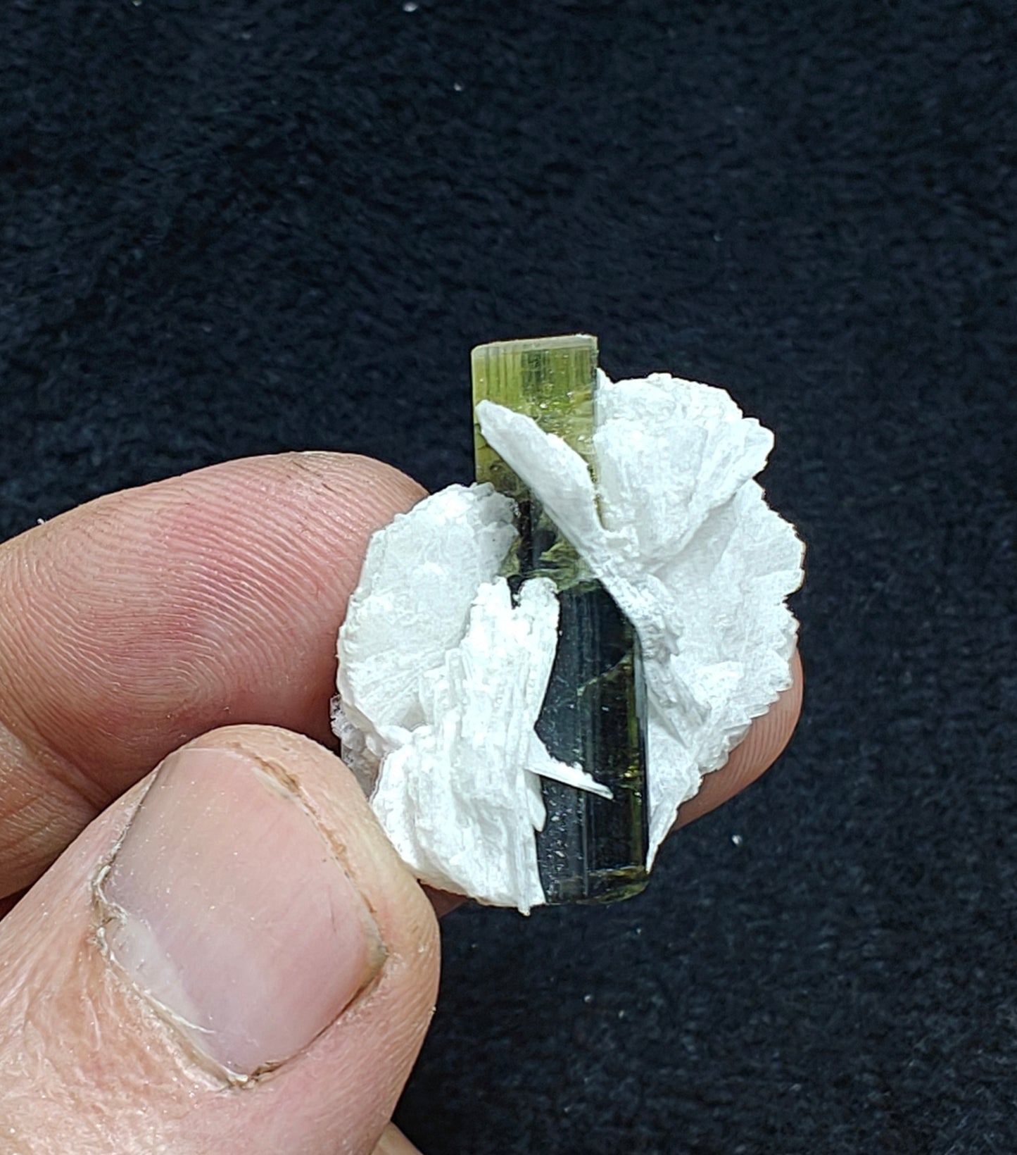 Greencap Tourmaline crystal with associated cleavelandite 10 grams