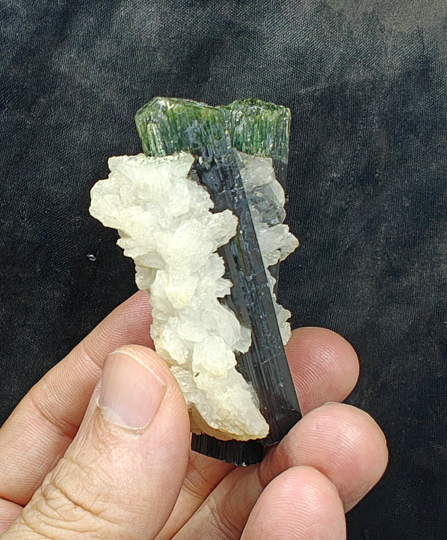 Perfectly terminated specimen of green cap Tourmalines crystals with associated albite 94 grams