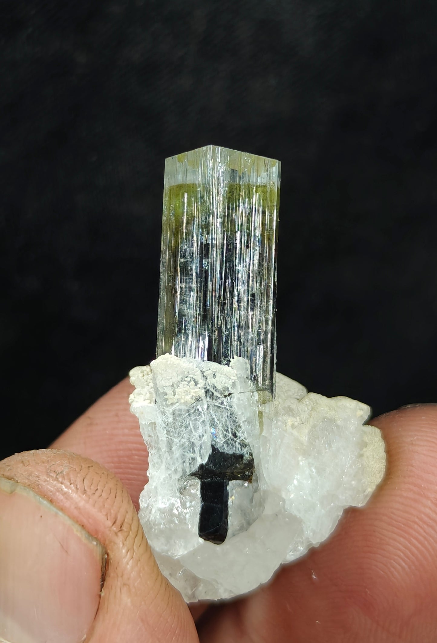 Natural multicolor Tourmaline crystal and associated cleavlandite and a bit of quartz 8 grams