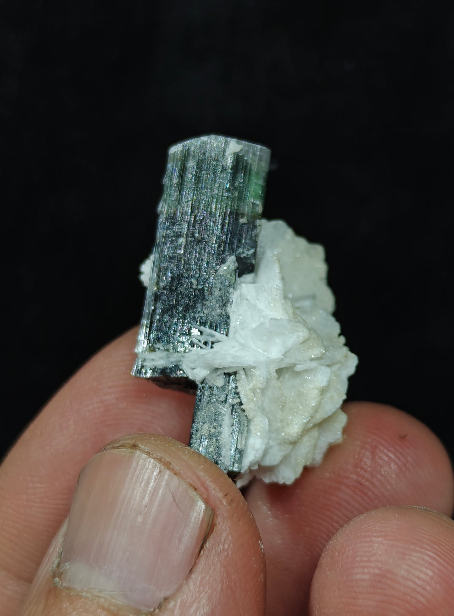Natural multicolor Tourmaline crystal 7 grams