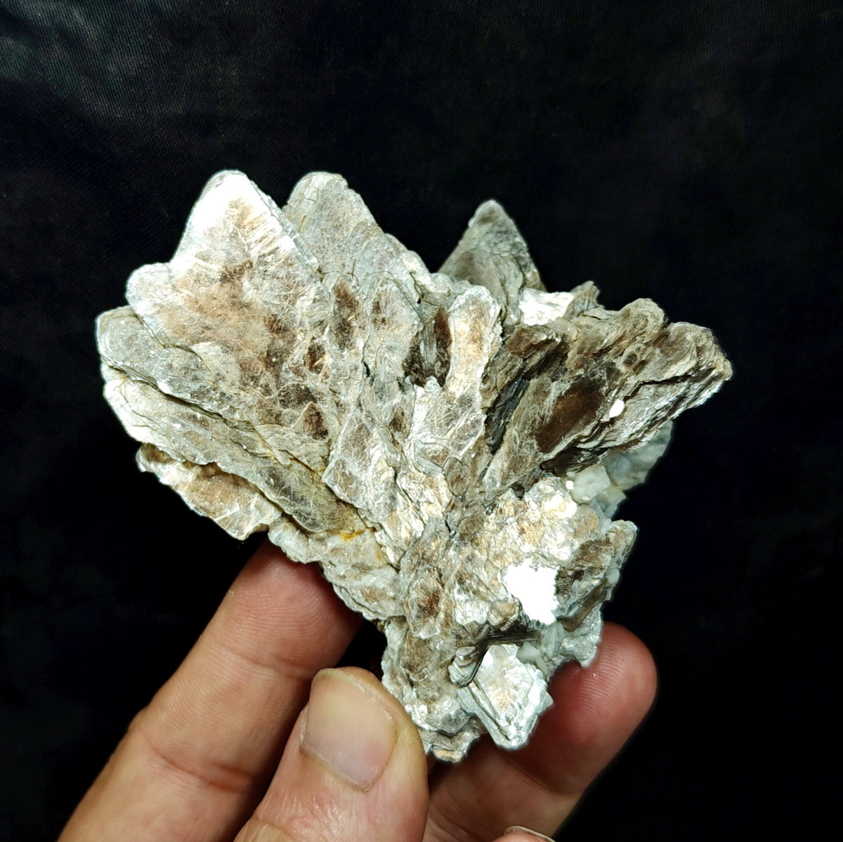 Natural spessartine garnet embedded in muscovite with albite 152 grams