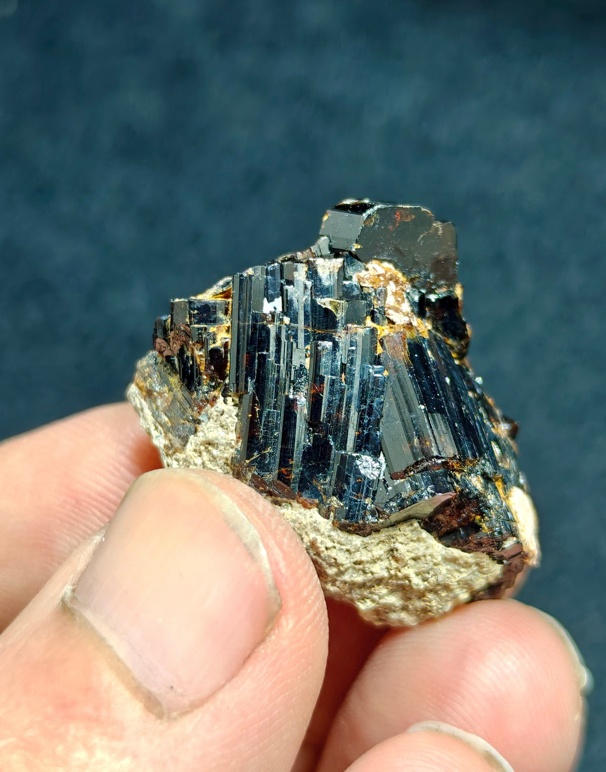 Natural dark brown Vesuvianite crystal on matrix 25 grams