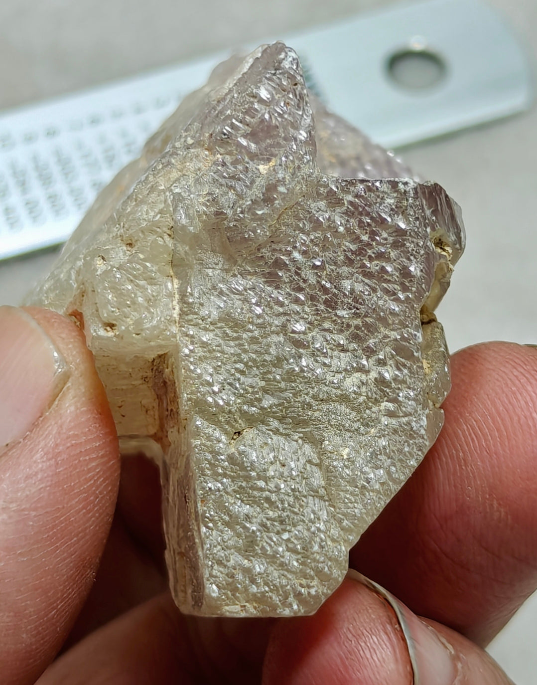 An amazing specimen of Bicolor terminated spodumene crystal 157 grams