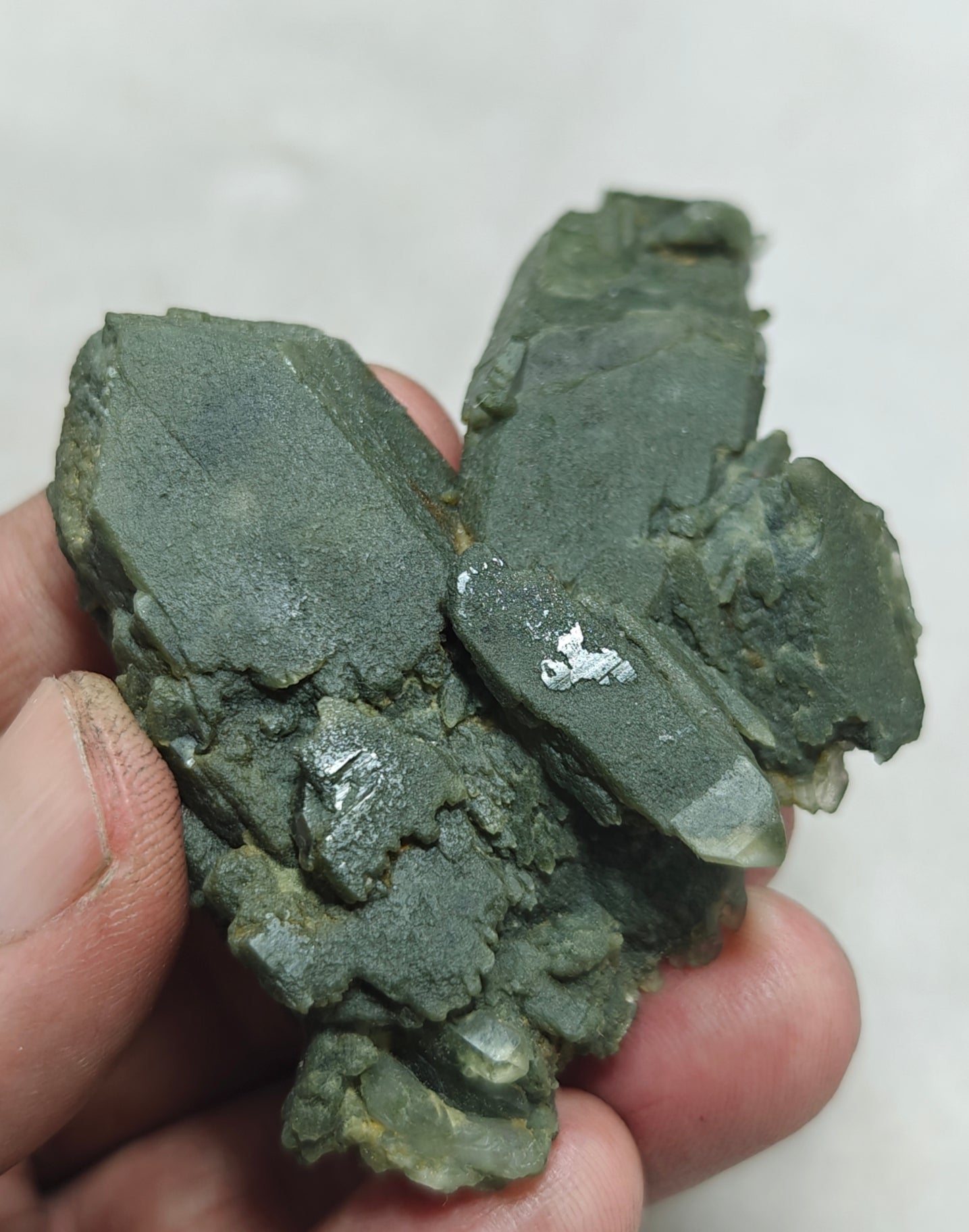 Small anatase crystals on Chlorite Quartz with small brookite 63 grams