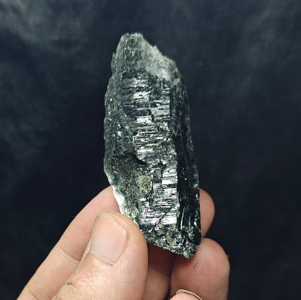 Terminated Chlorite Rutile Etched Quartz crystal 49 grams