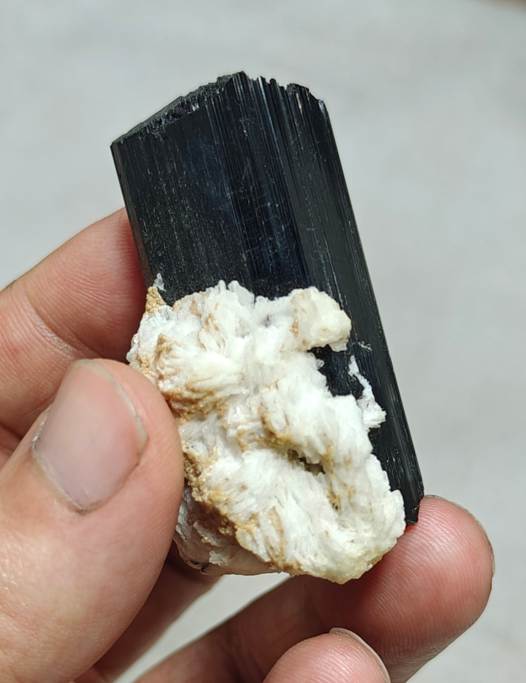 An Aesthetic Natural Tourmaline crystals with Albite attachment 81 grams