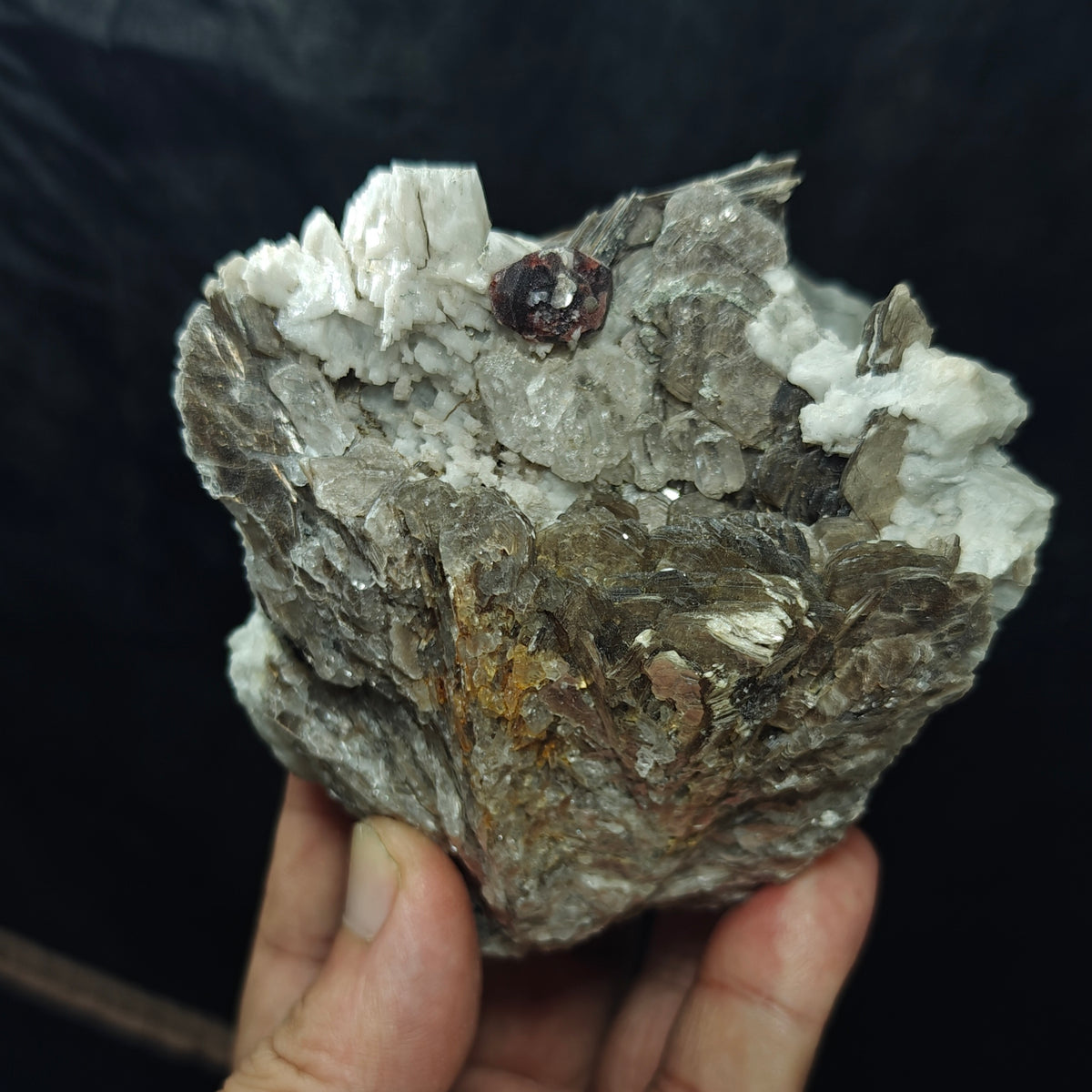 Natural spessartine garnet embedded in muscovite, with albite and quartz 544 grams