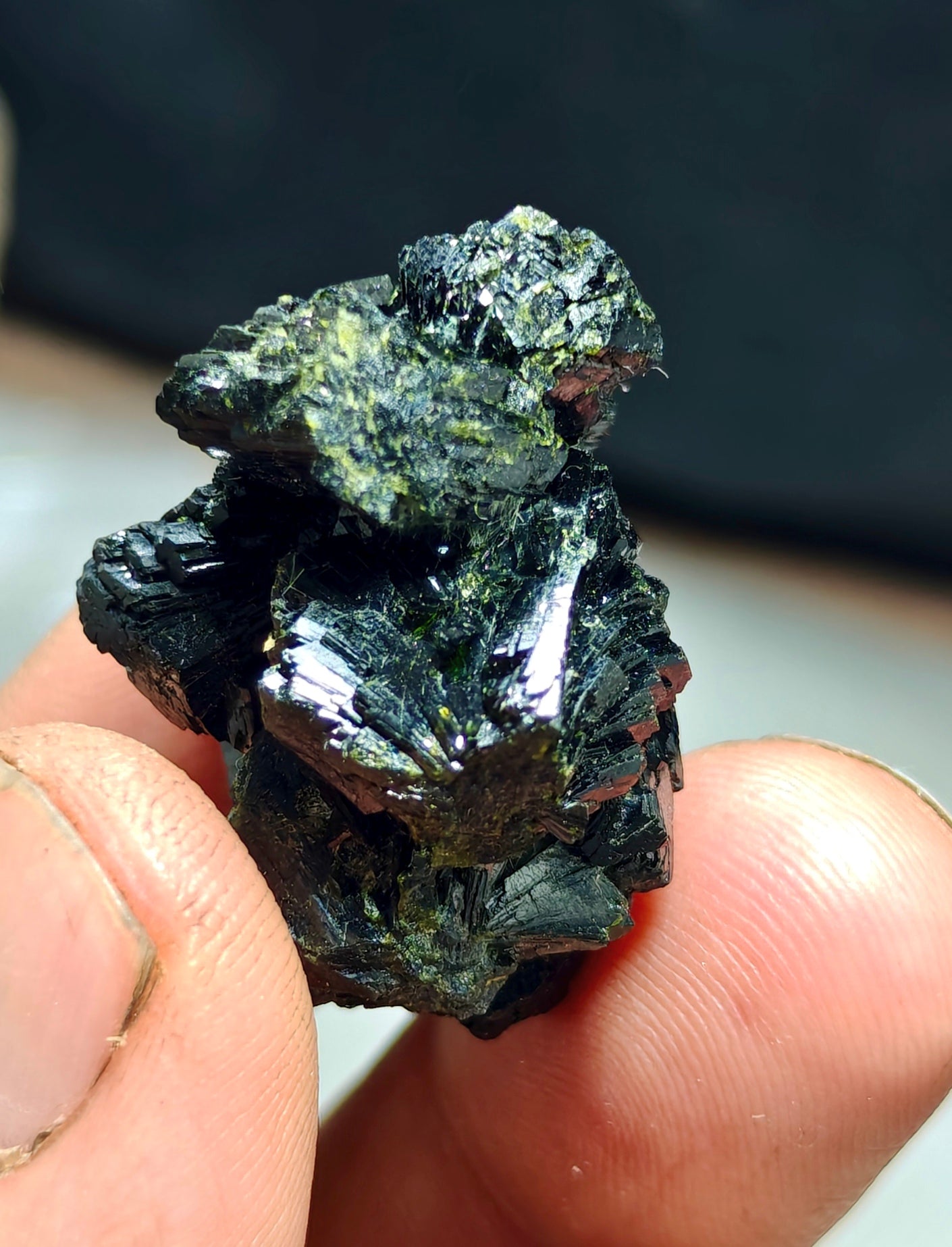 Bowtie Epidote spray cluster 23 grams