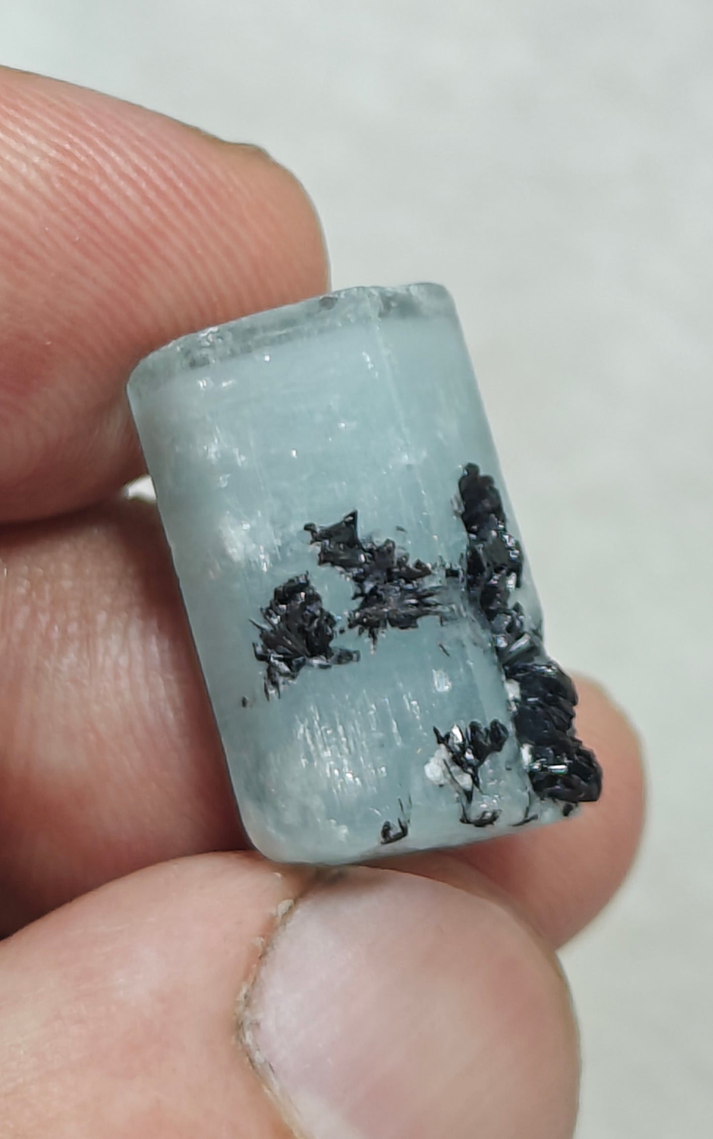 Aquamarine Crystal with tantalite 27 carats