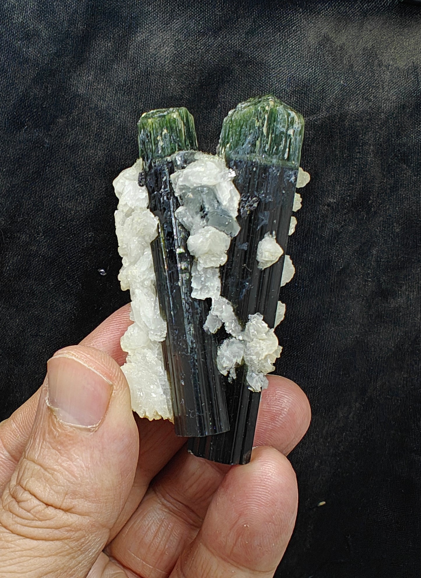 Perfectly terminated specimen of green cap Tourmalines crystals with associated albite 94 grams