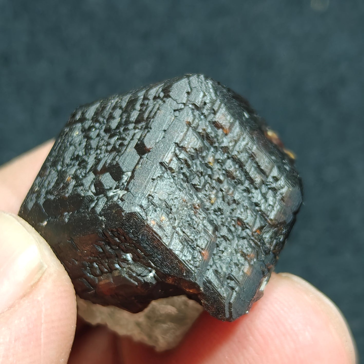 Natural andradite crystal 28 grams