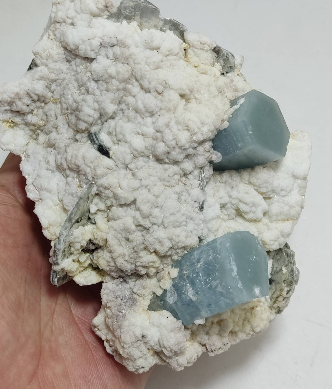 Terminated Afghanistan Aquamarine Crystals on matrix with albite 885 grams