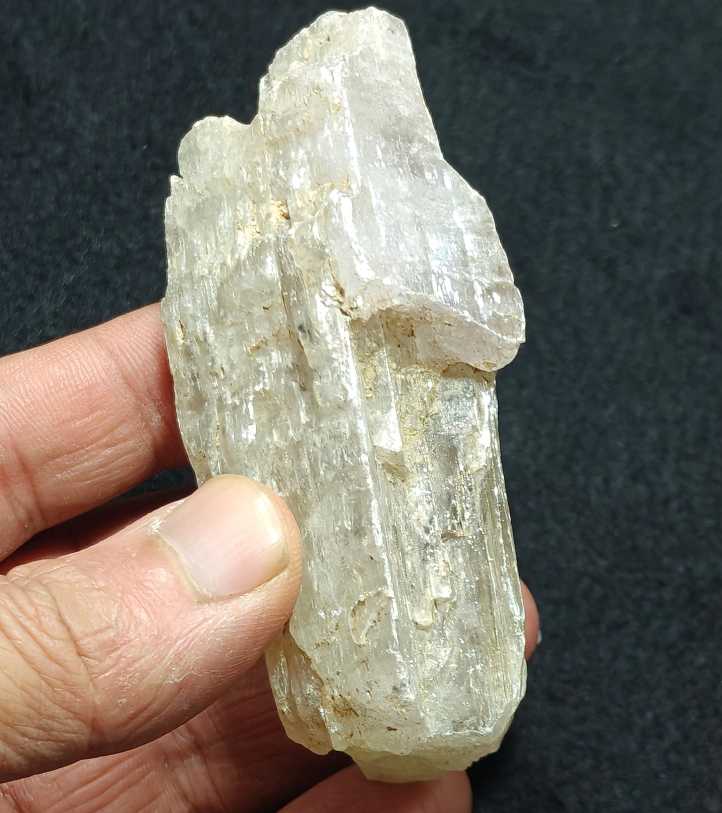 An amazing specimen of Bicolor terminated spodumene crystal 157 grams
