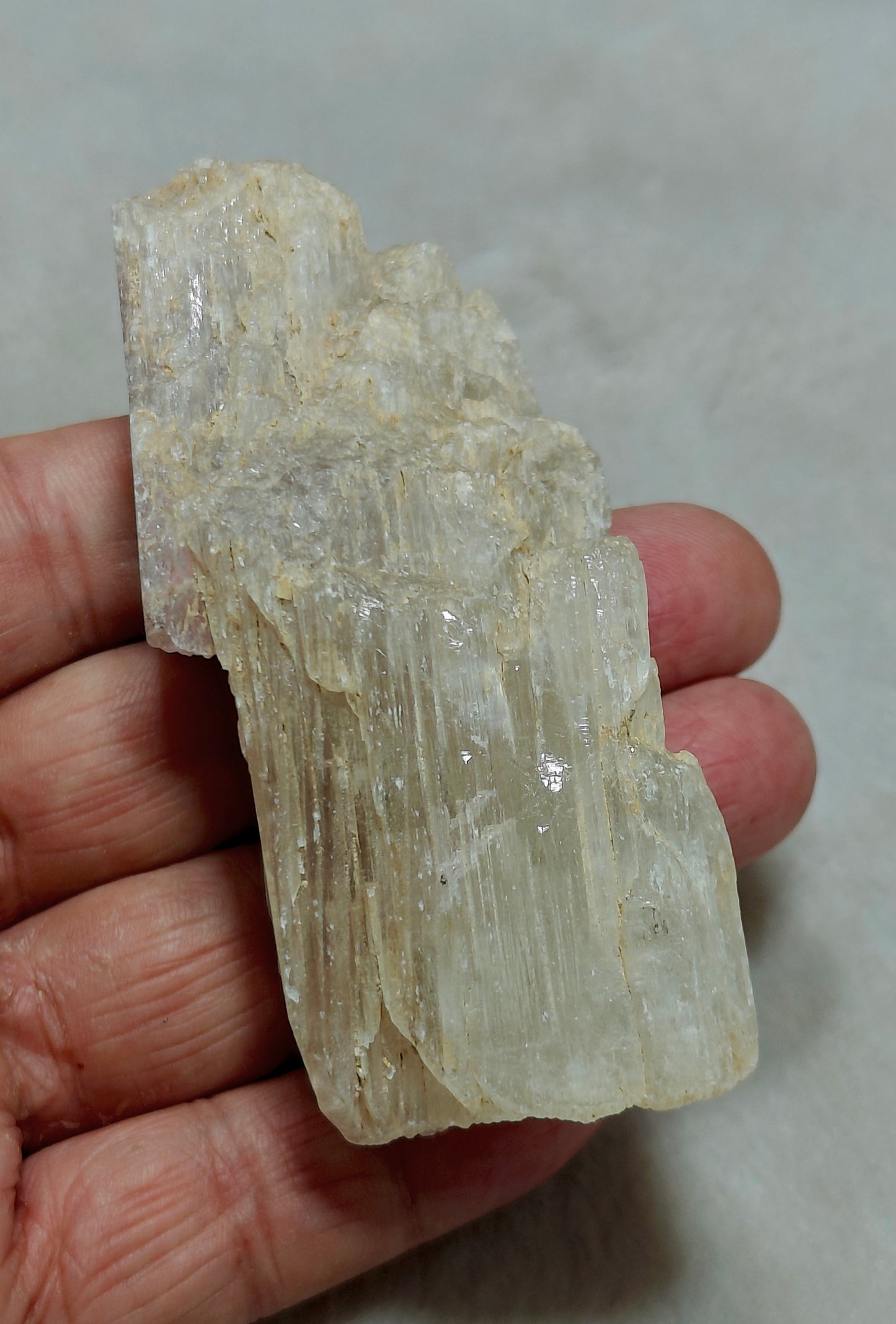 An amazing specimen of Bicolor terminated spodumene crystal 157 grams