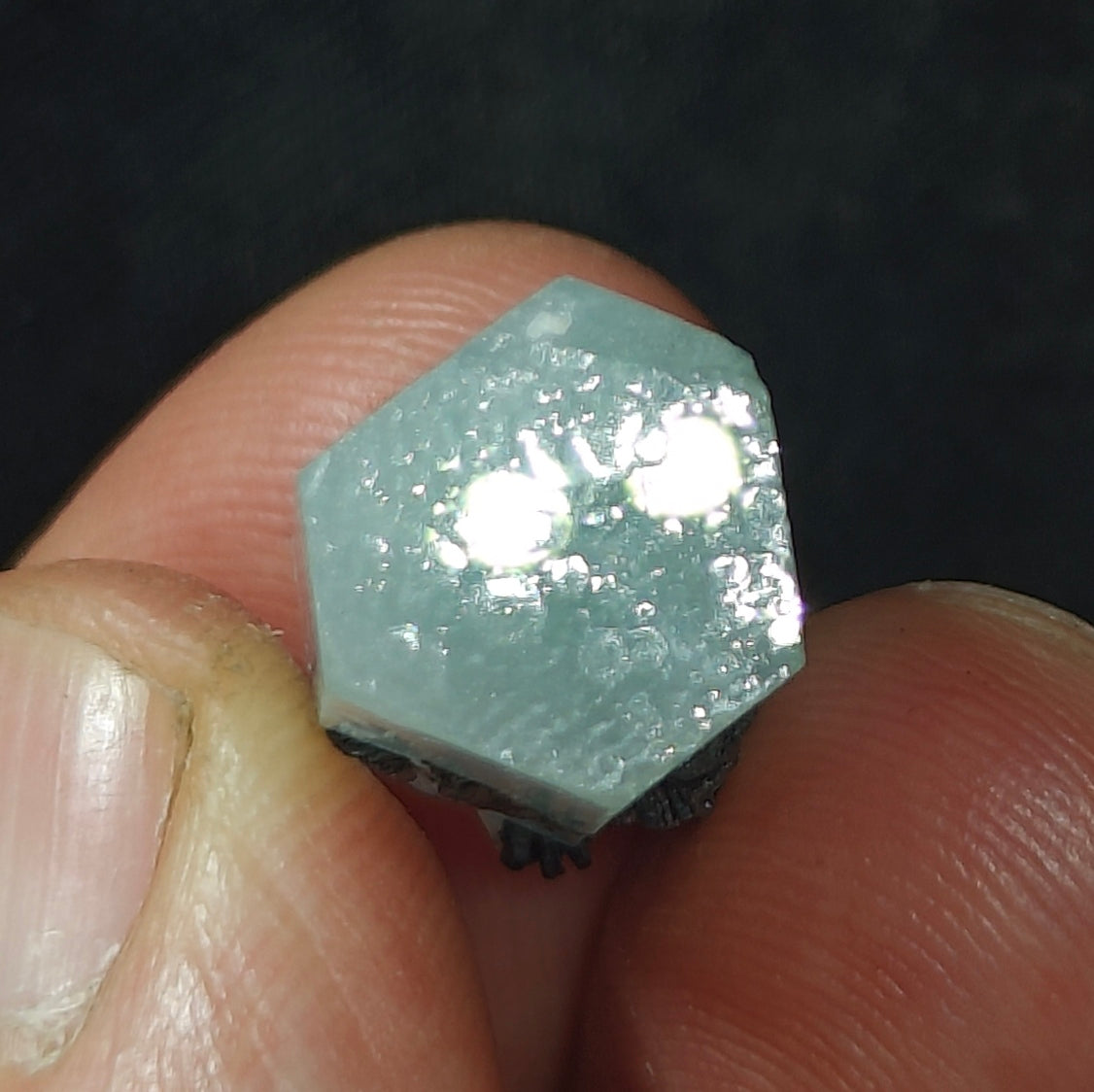 Aquamarine Crystal with tantalite 27 carats