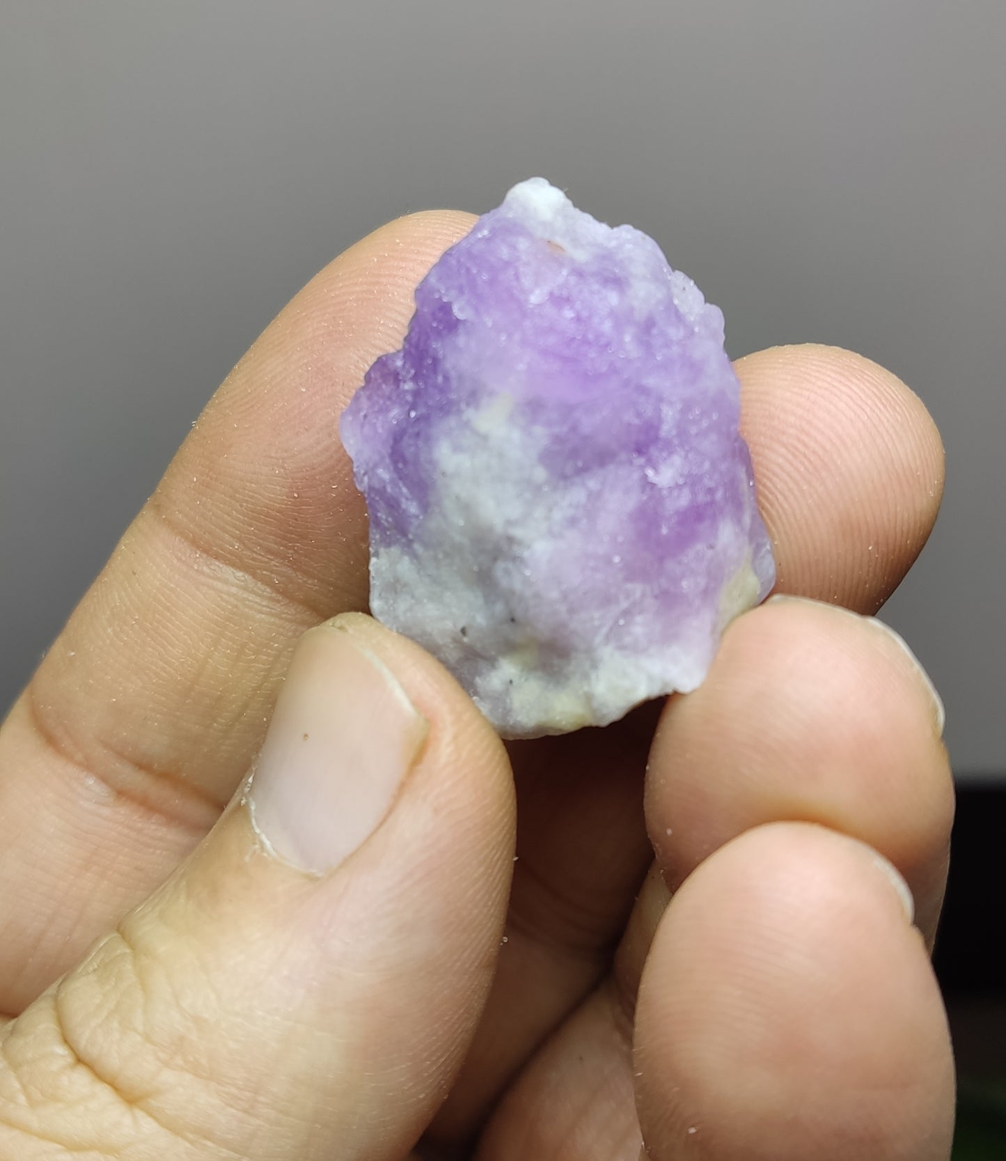 An amazing specimen hackmanite on matrix highly Tenebrescent 14 grams