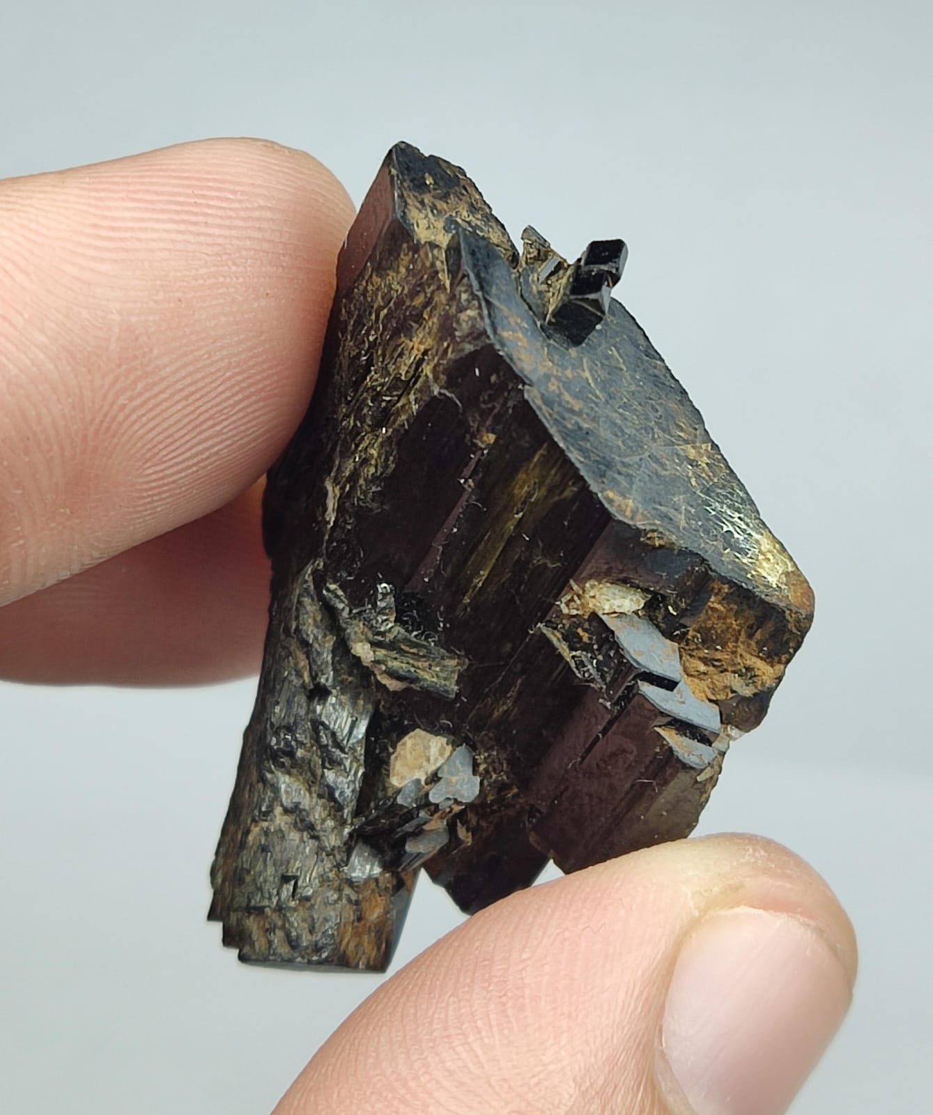Natural aegirine crystal 11 grams
