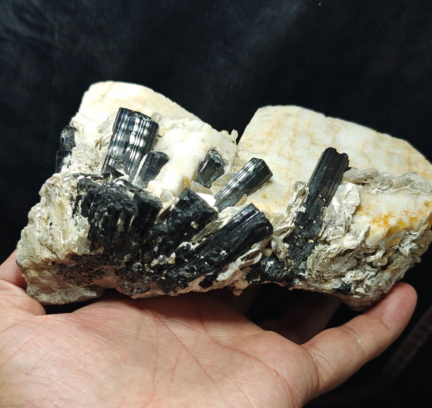 Beautiful Black Tourmaline Specimen with Albite and Quartz Crystals 1450 grams