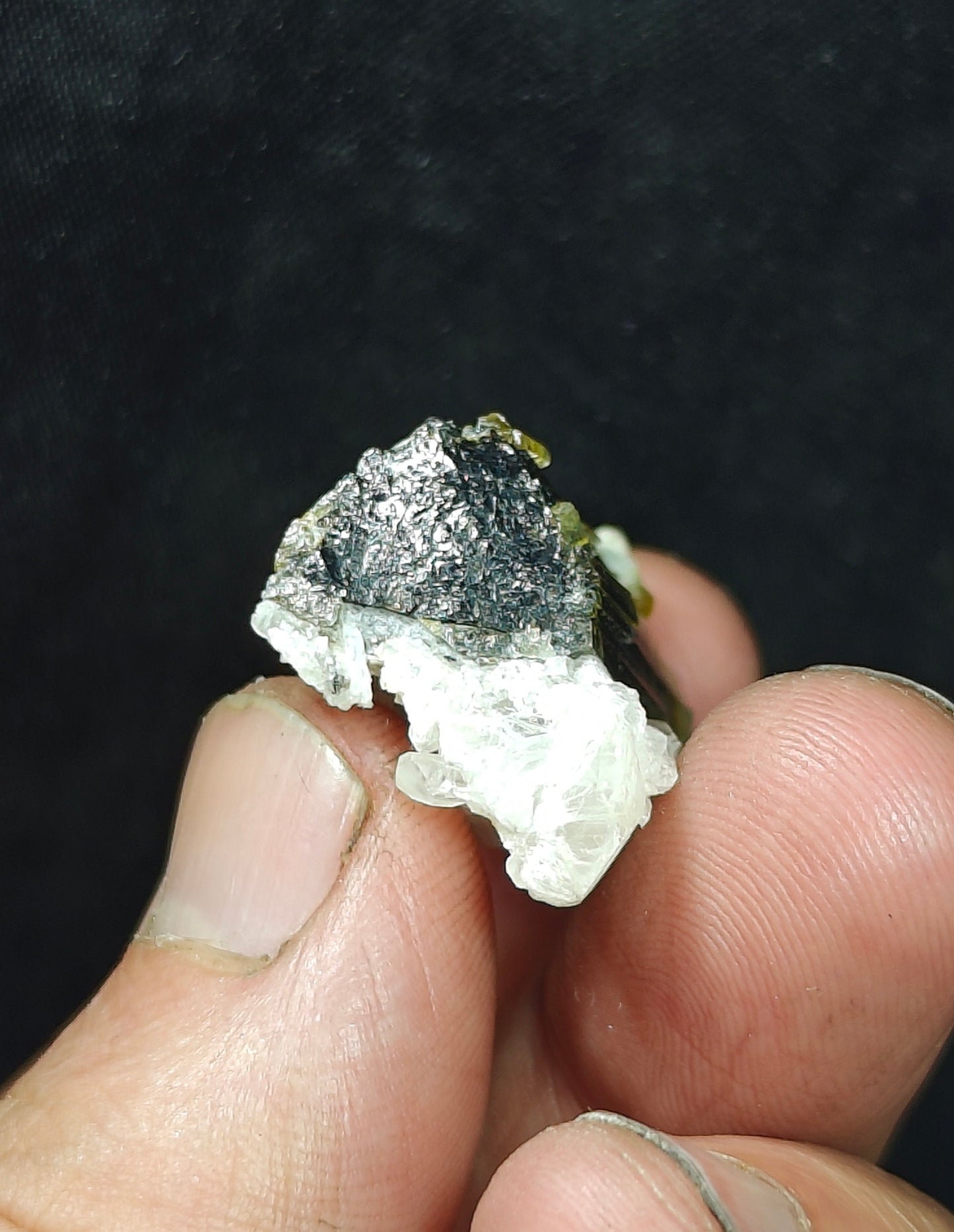 Natural dark green Tourmaline crystal with white head and associated quartz 14 grams