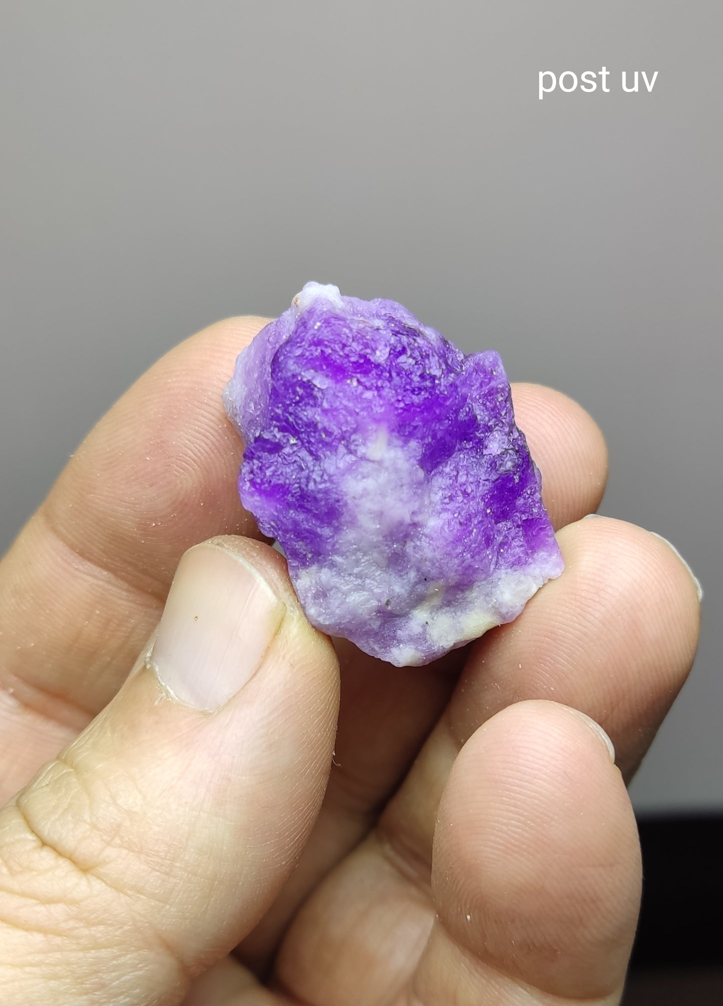 An amazing specimen hackmanite on matrix highly Tenebrescent 14 grams