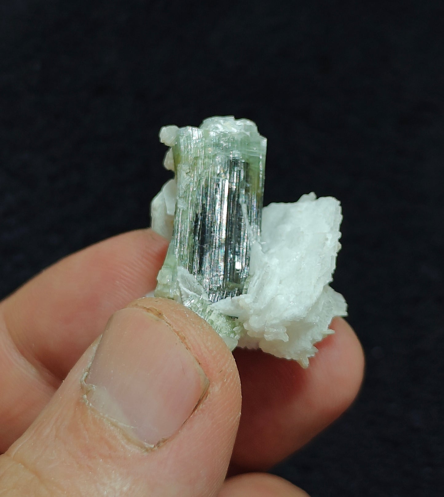Natural dark green Tourmaline crystal and associated cleavlandite 10 grams