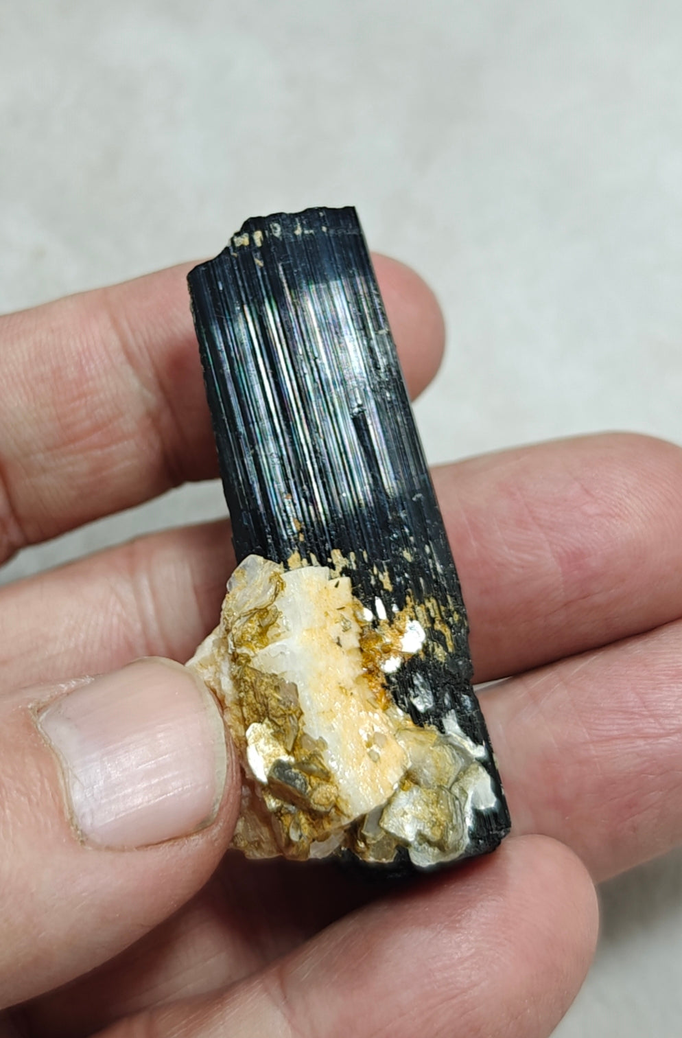 Natural Tourmaline crystal with Albite and Muscovite 38 grams