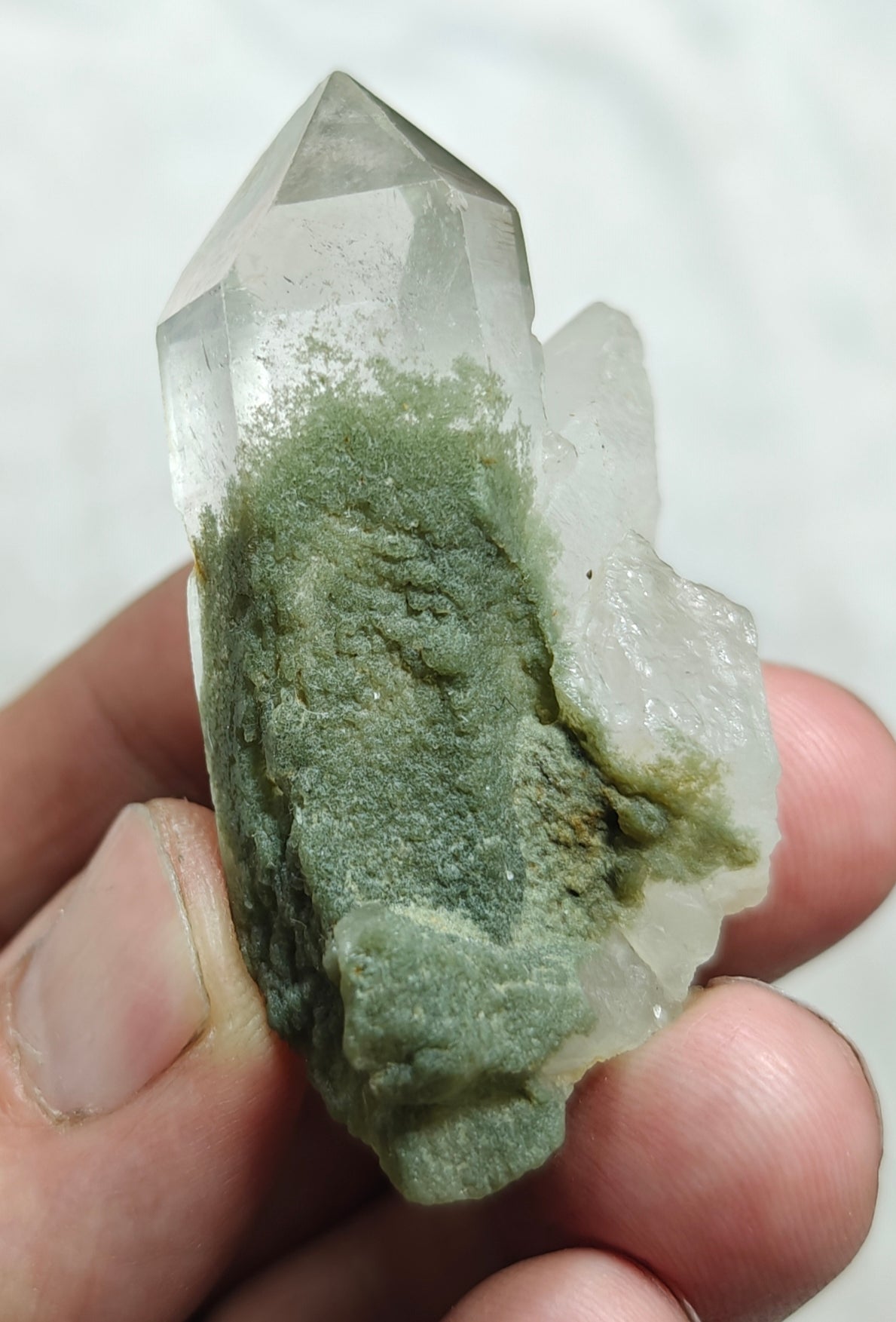 Terminated Chlorite Quartz 43 grams
